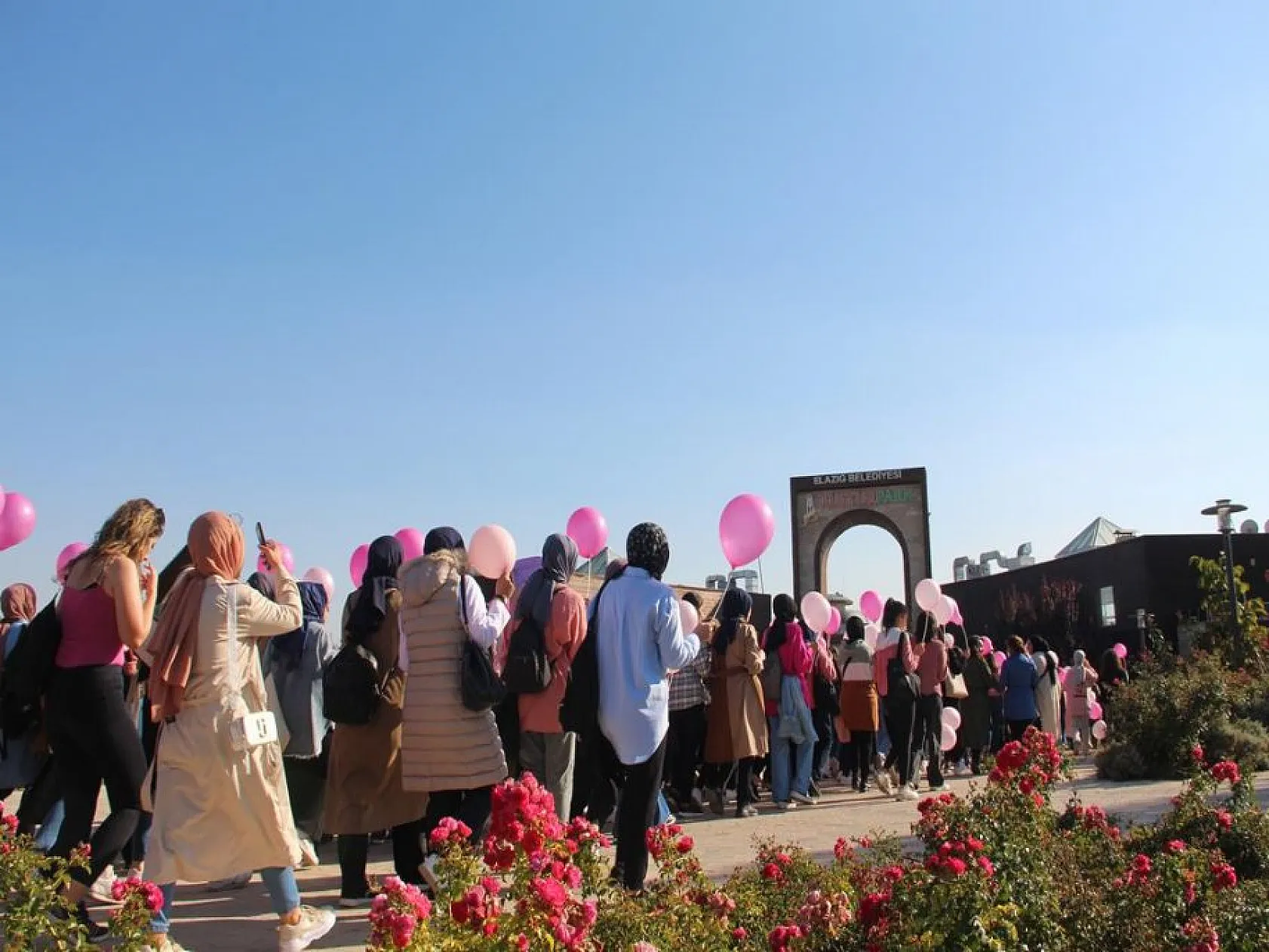 Elazığ'da 'Meme Kanseri Farkındalık' yürüyüşü
