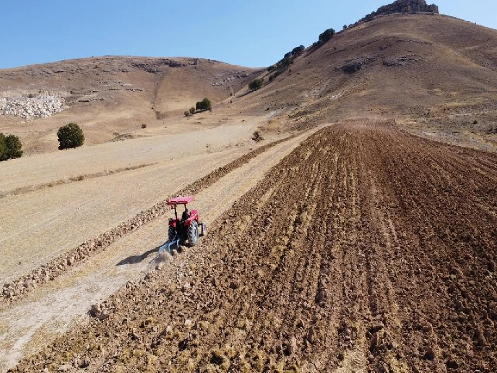 Elazığlı kadınlar atıl arazileri aromatik bitkilerle tarıma kazandırıyor