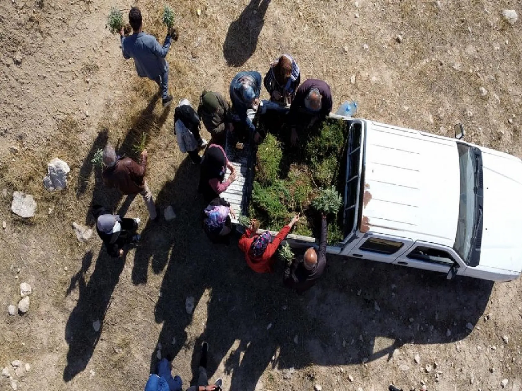 Elazığlı kadınlar atıl arazileri aromatik bitkilerle tarıma kazandırıyor