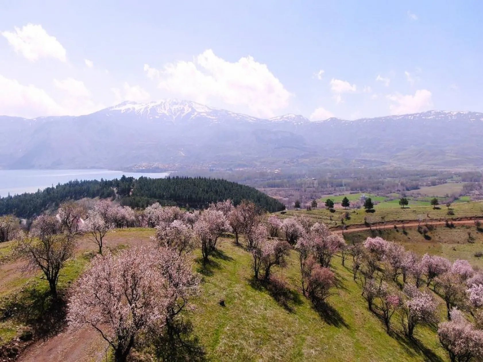 Hazar Gölü'nde çiçek açan ağaçlar kartpostallık görüntüler oluşturdu
