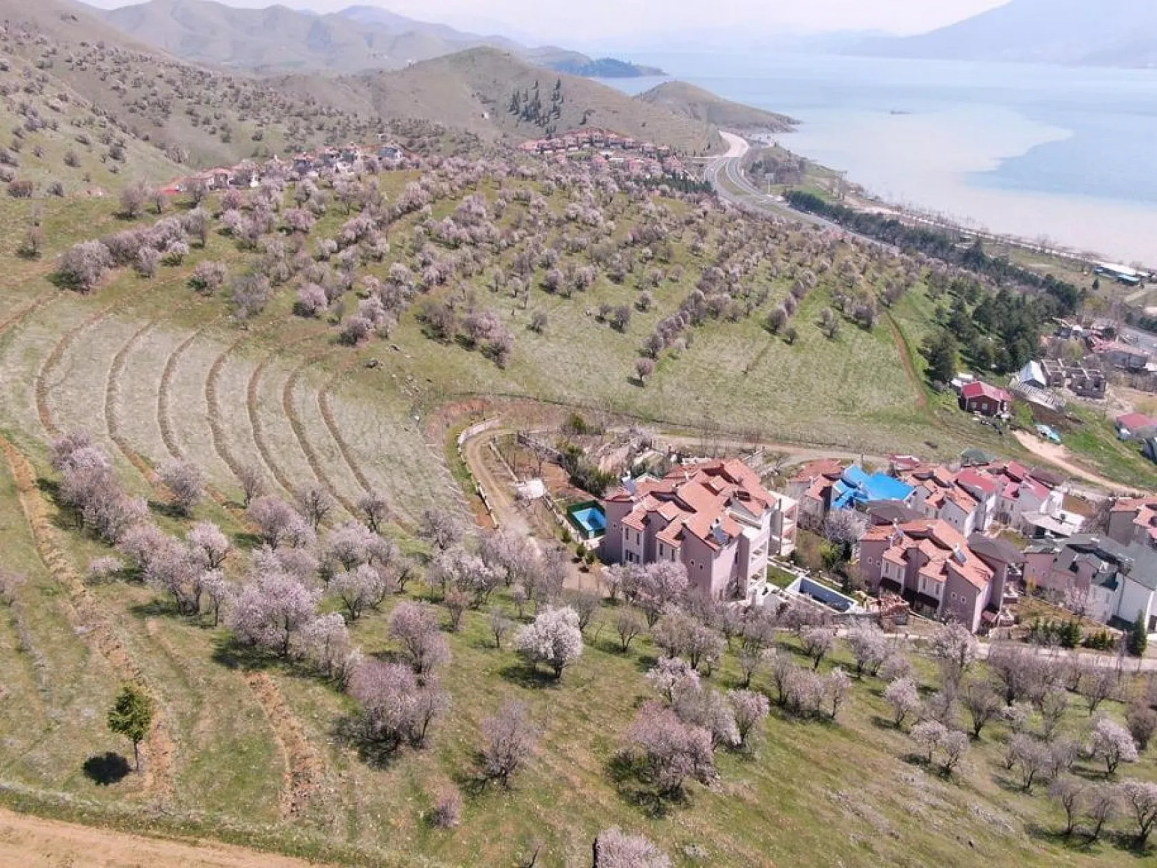 Hazar Gölü'nde çiçek açan ağaçlar kartpostallık görüntüler oluşturdu