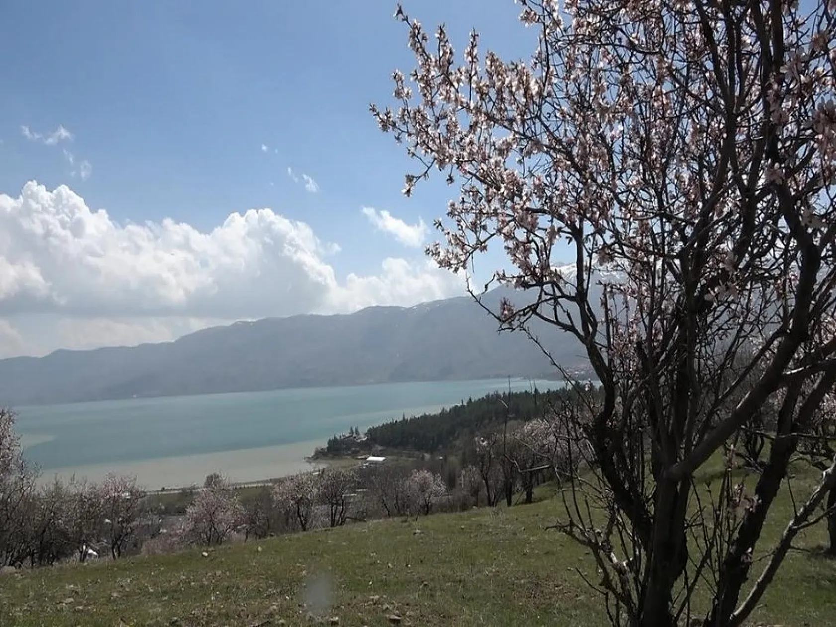 Hazar Gölü'nde çiçek açan ağaçlar kartpostallık görüntüler oluşturdu