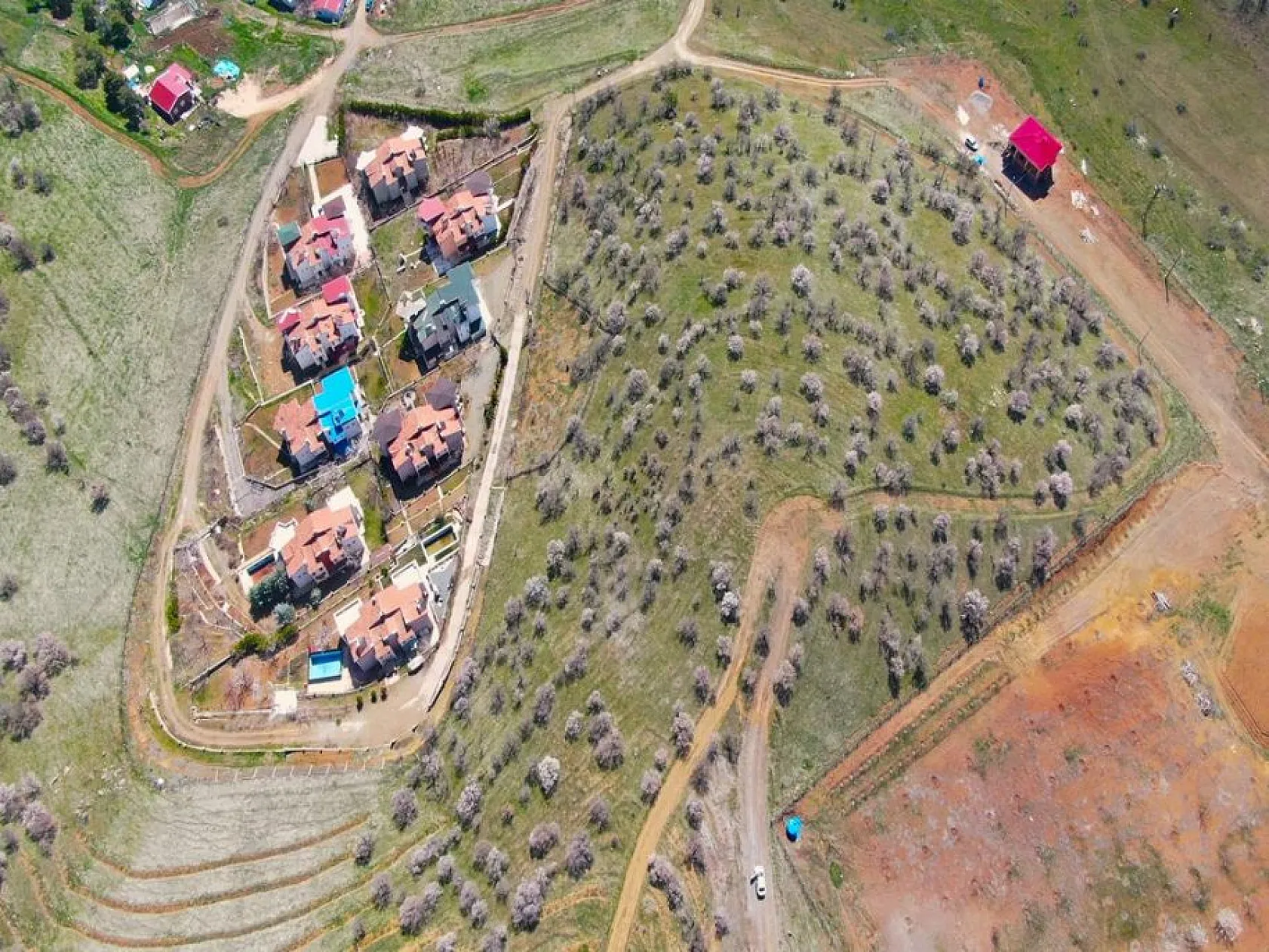 Hazar Gölü'nde çiçek açan ağaçlar kartpostallık görüntüler oluşturdu