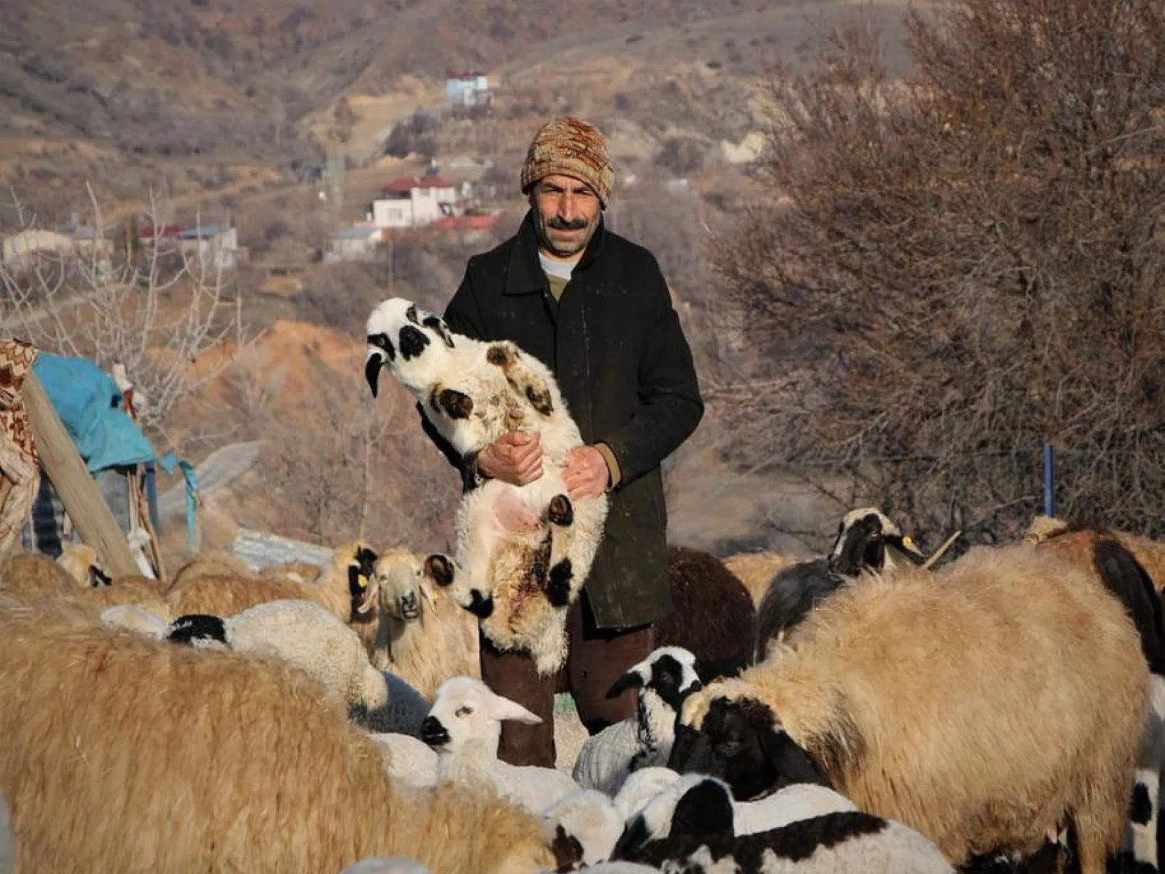 Kuzuların anneleri ile buluşması yürekleri ısıttı