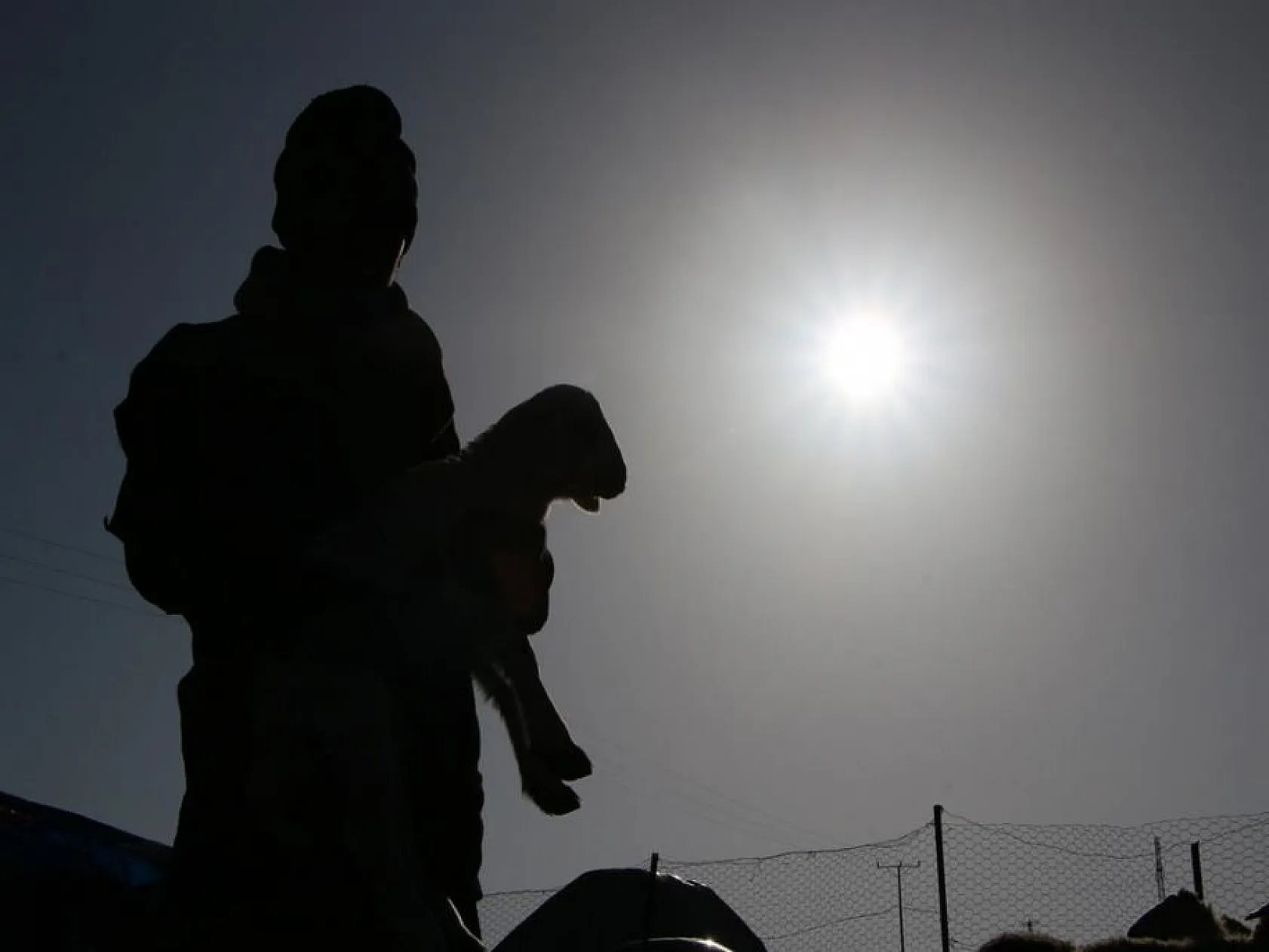 Kuzuların anneleri ile buluşması yürekleri ısıttı