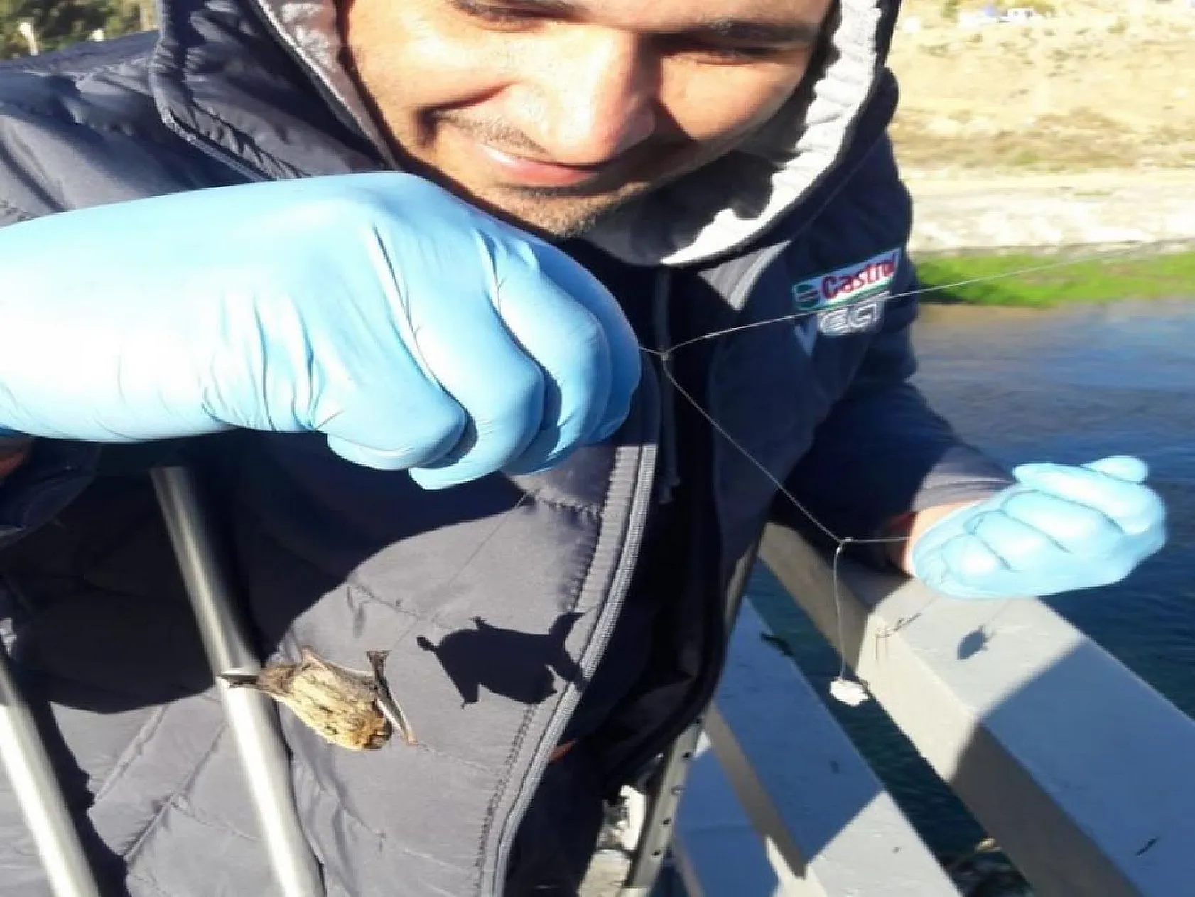 Oltaya balık yerine yarasa takıldı, görenler şaşkına döndü