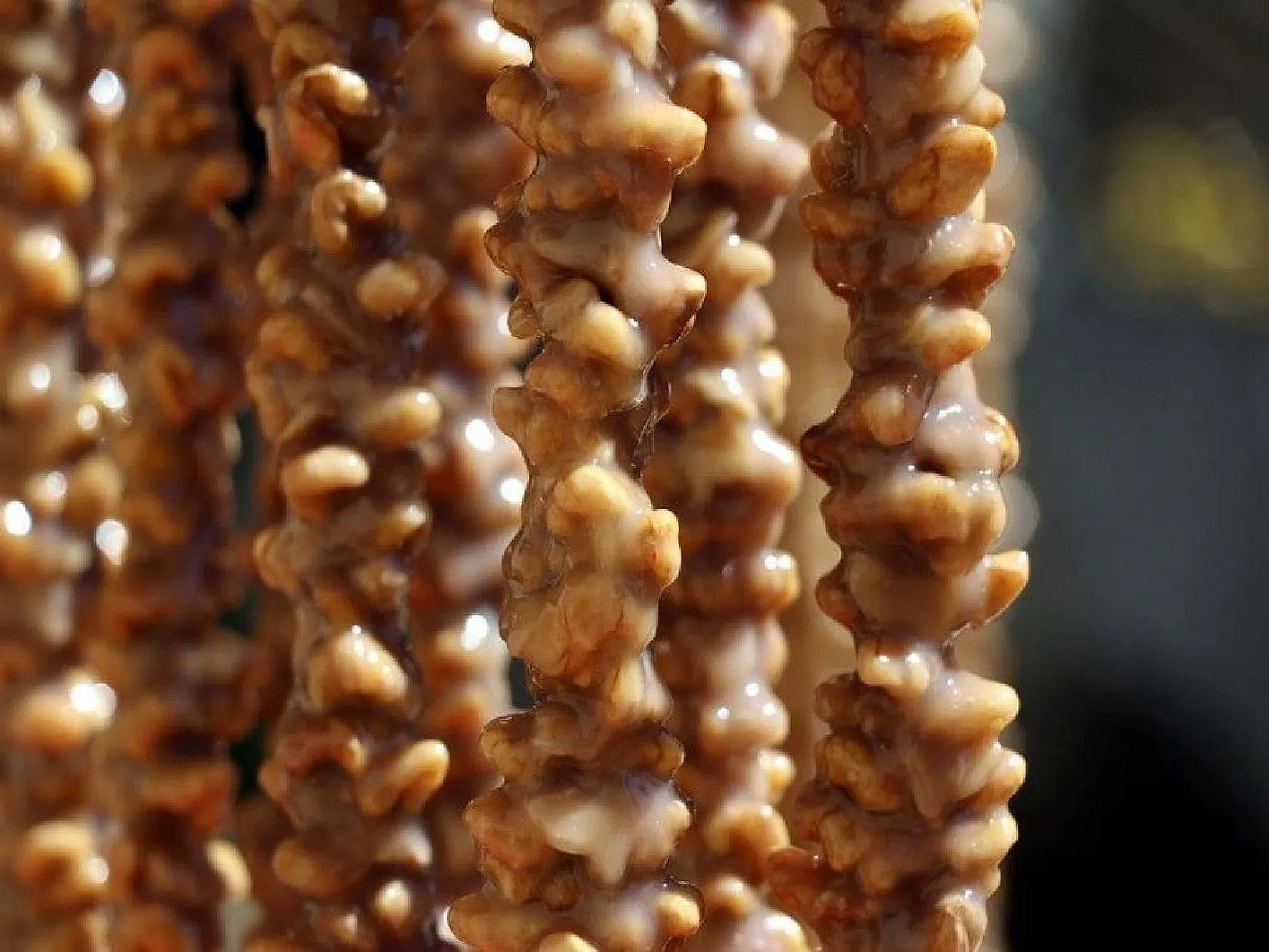 Elazığ'da kazanlar 'orcik' yapımı için kaynıyor