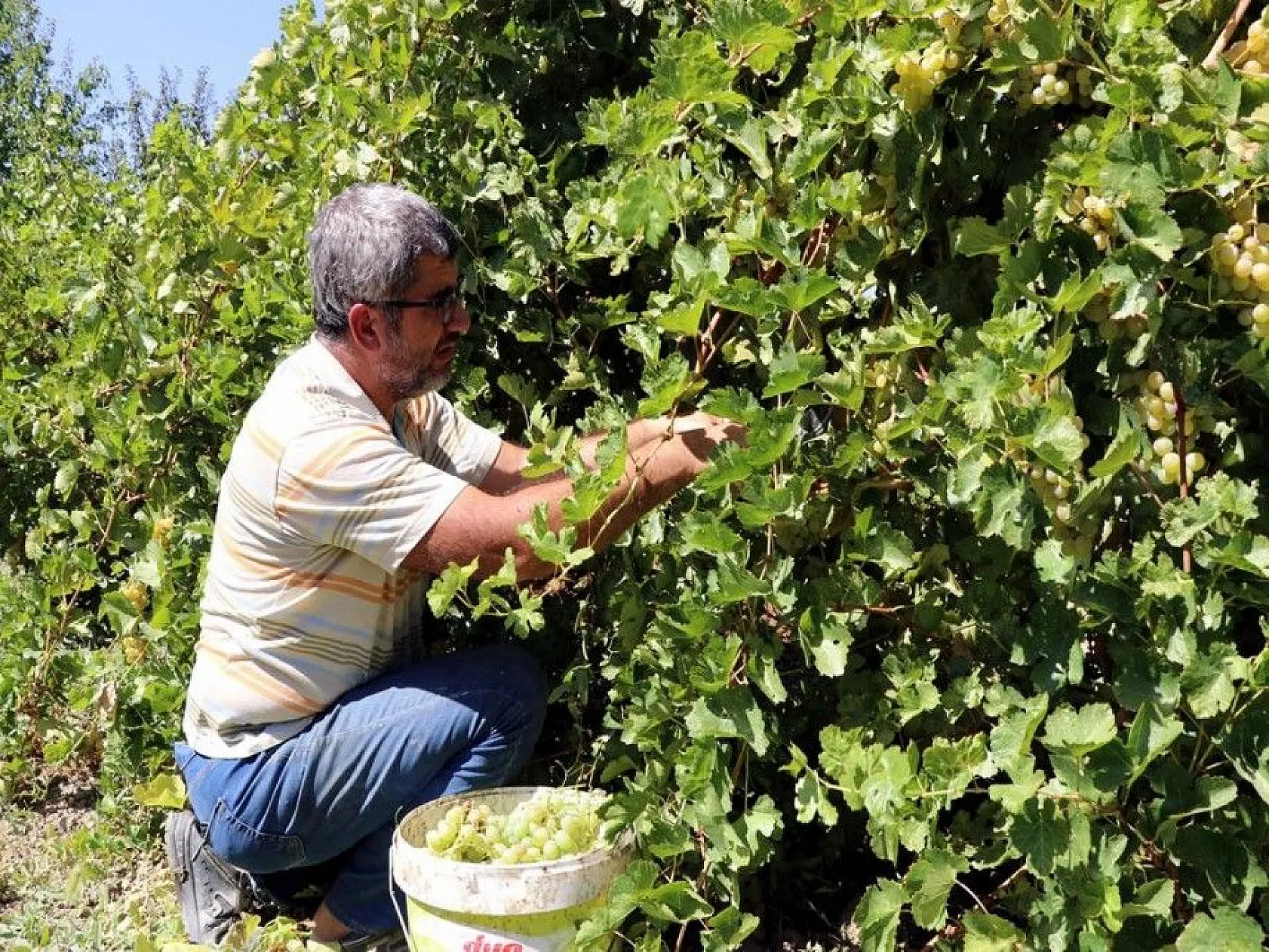 Elazığ'da kazanlar 'orcik' yapımı için kaynıyor