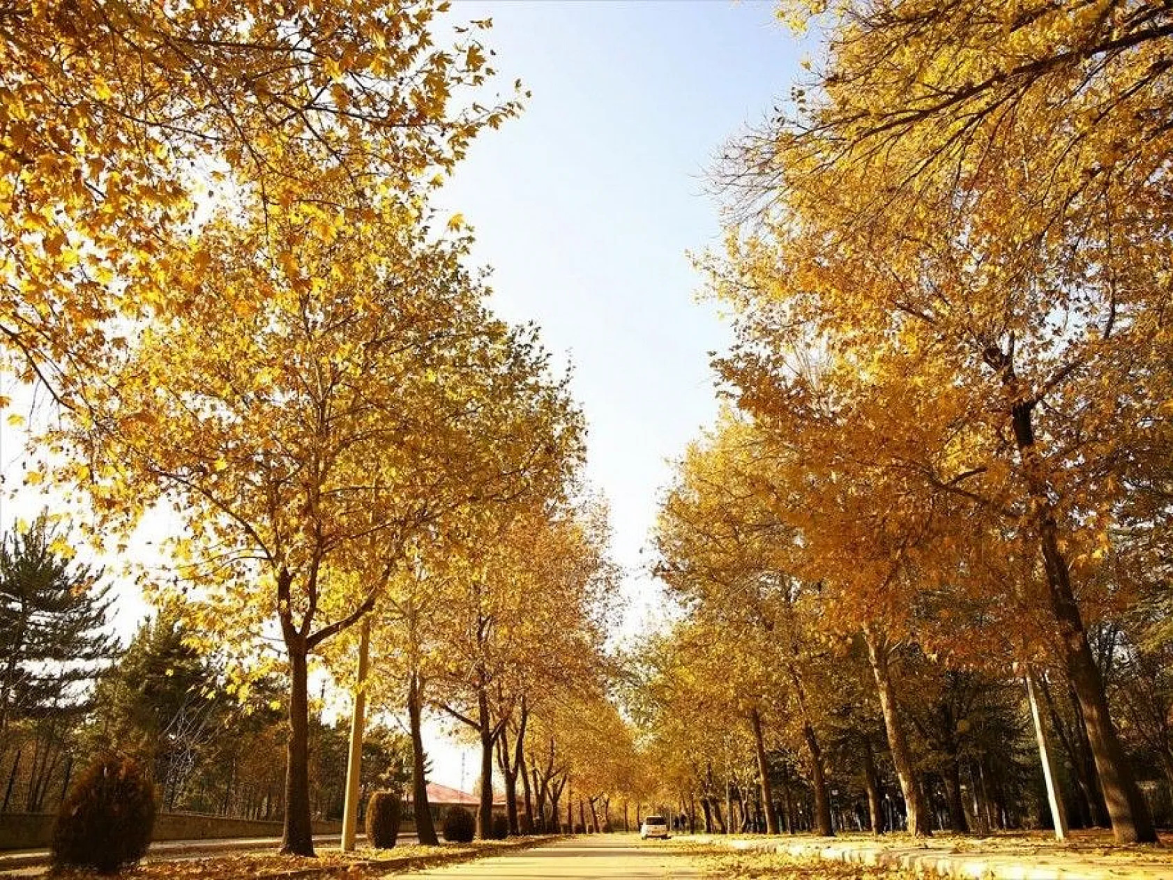 Elazığ'da sonbahar bir başka güzel