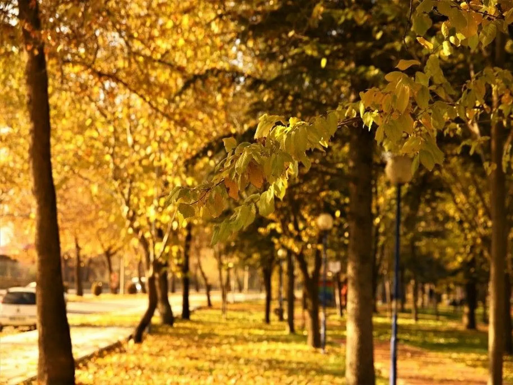 Elazığ'da sonbahar bir başka güzel
