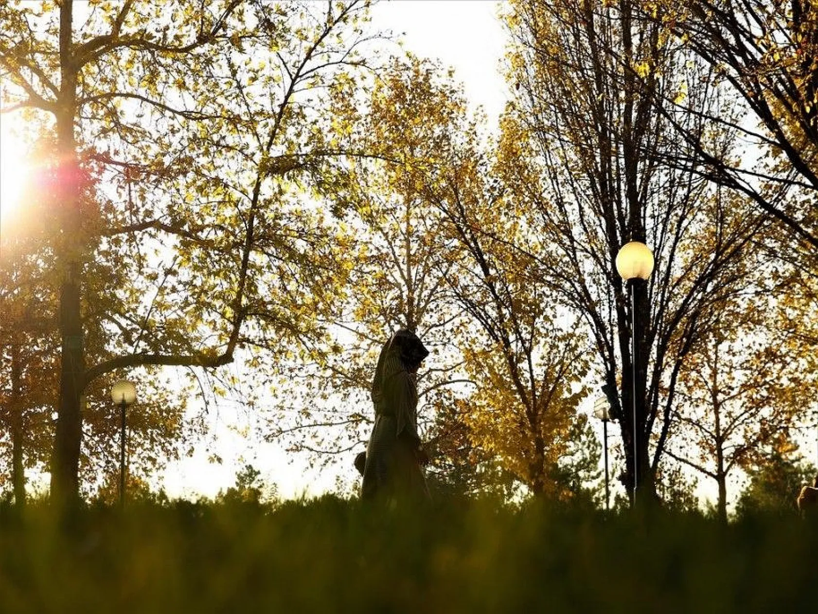 Elazığ'da sonbahar bir başka güzel