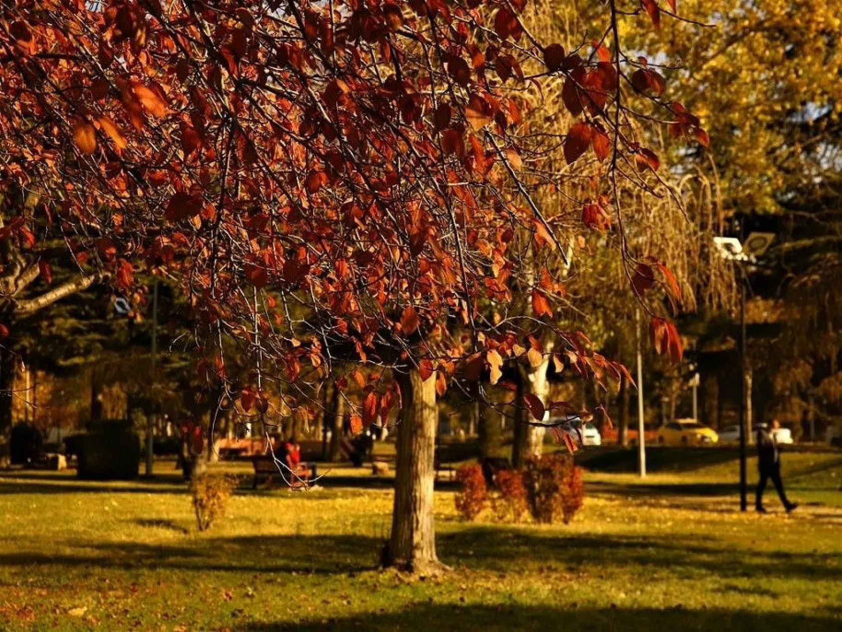 Elazığ'da sonbahar bir başka güzel