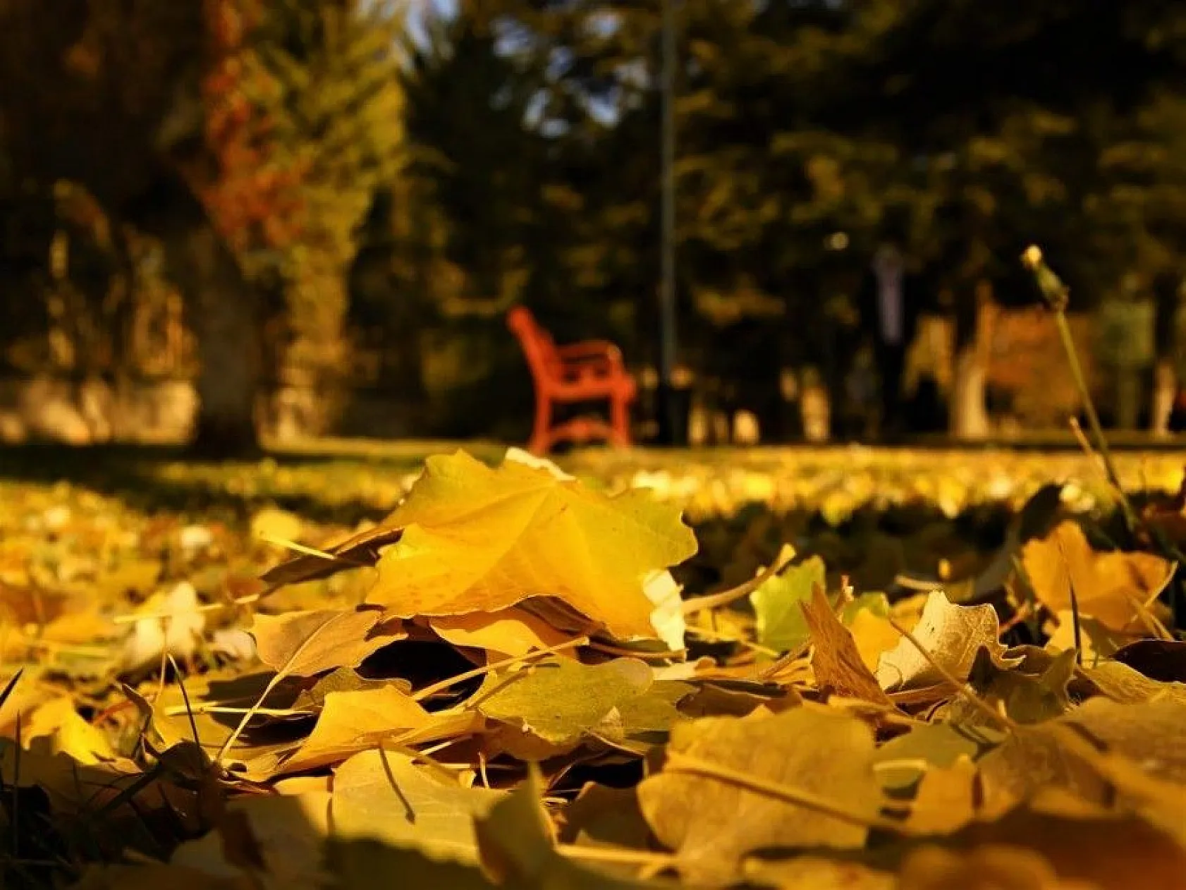 Elazığ'da sonbahar bir başka güzel