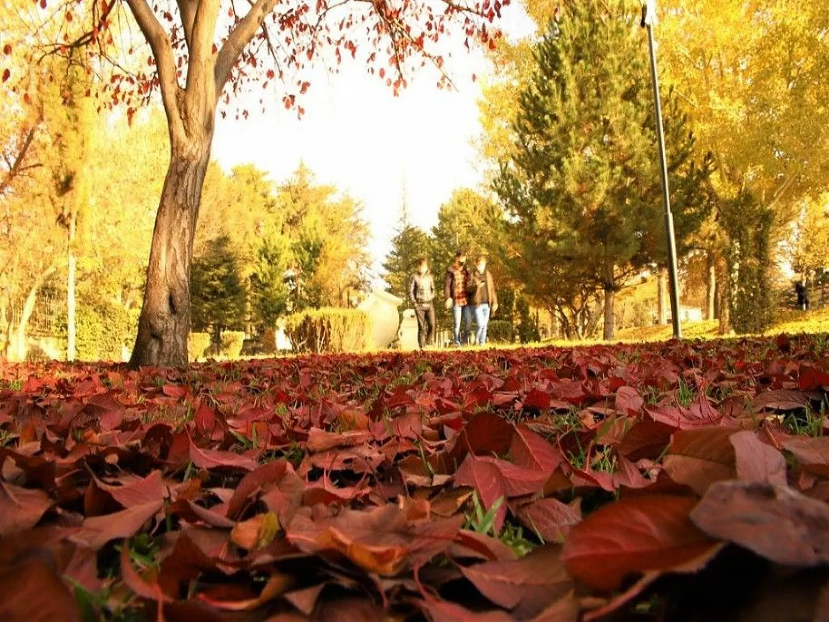 Elazığ'da sonbahar bir başka güzel