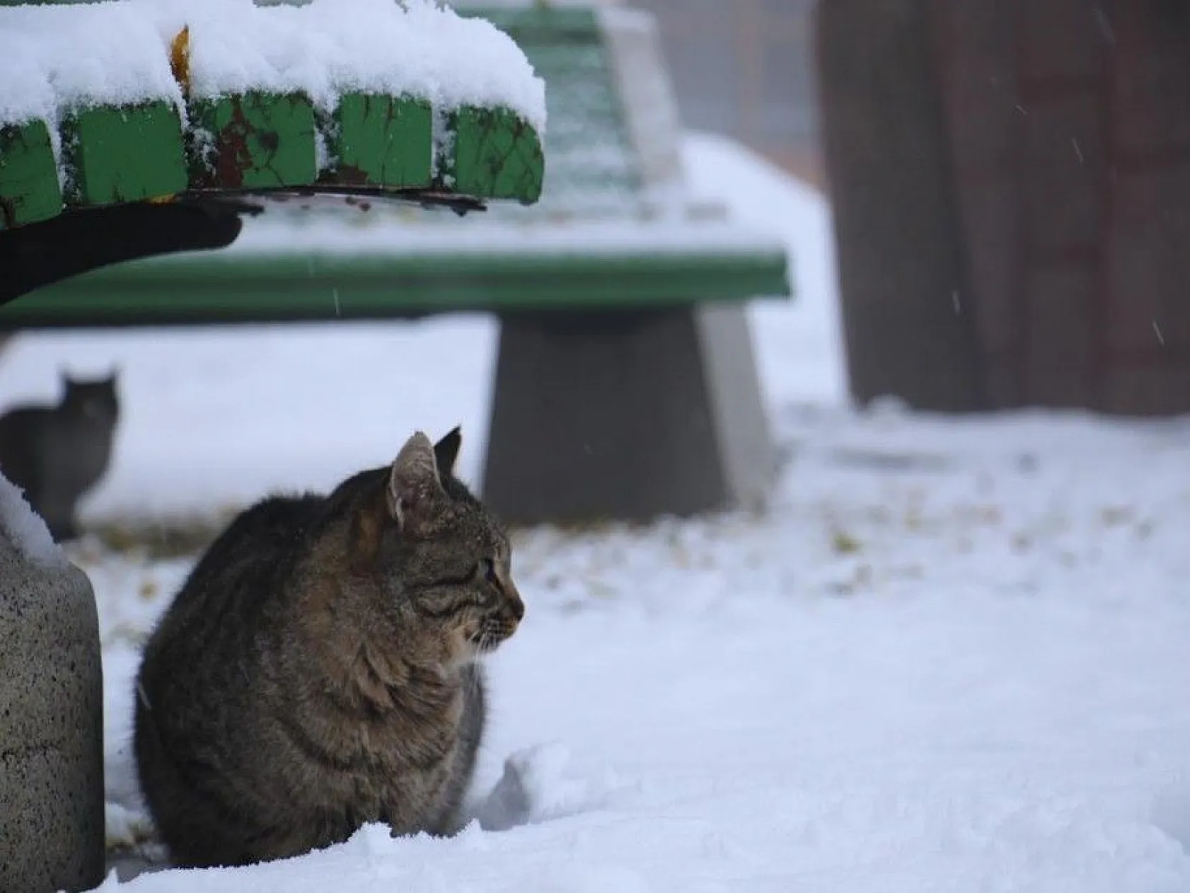 Harput'ta kartpostallık görüntüler