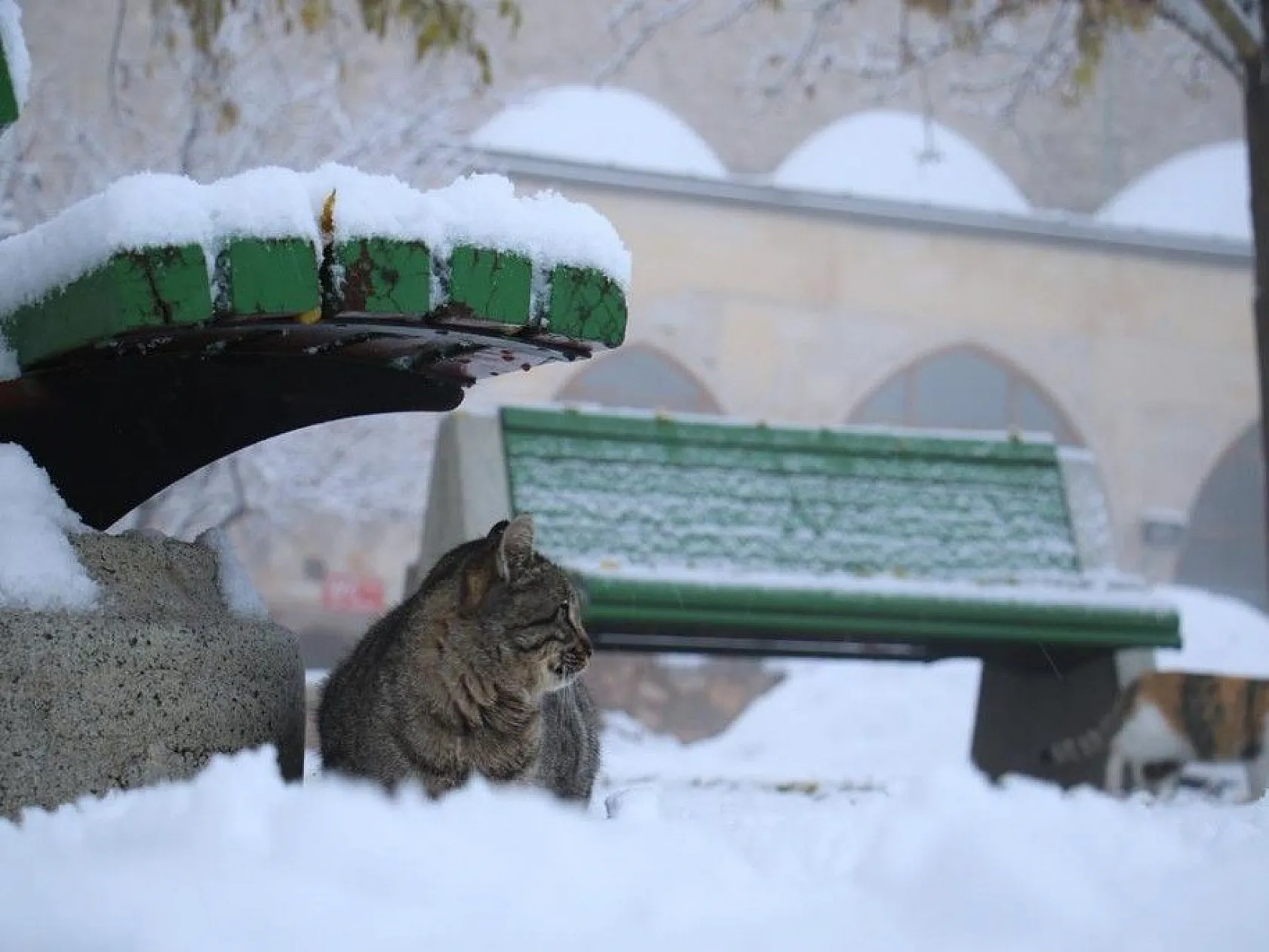 Harput'ta kartpostallık görüntüler