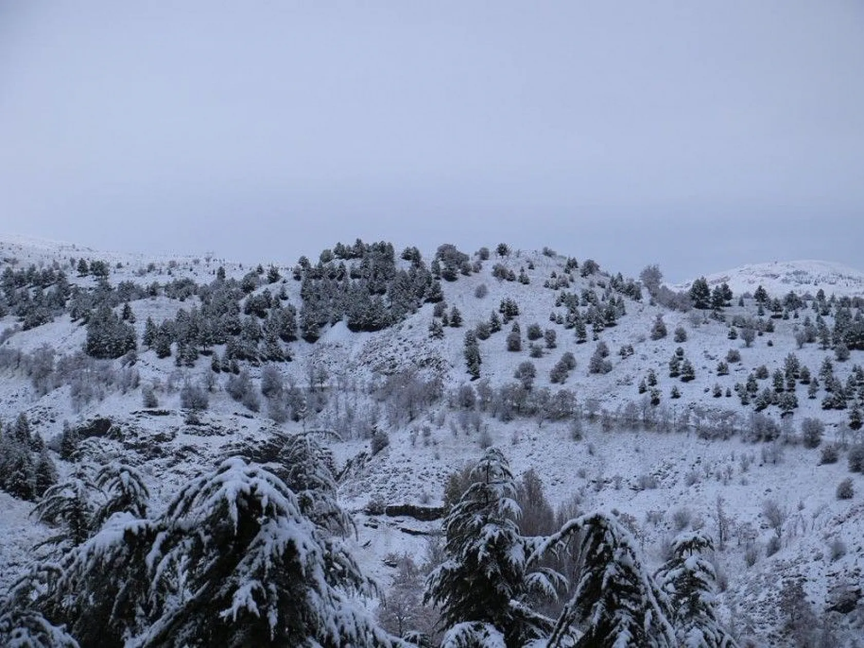 Harput'ta kartpostallık görüntüler