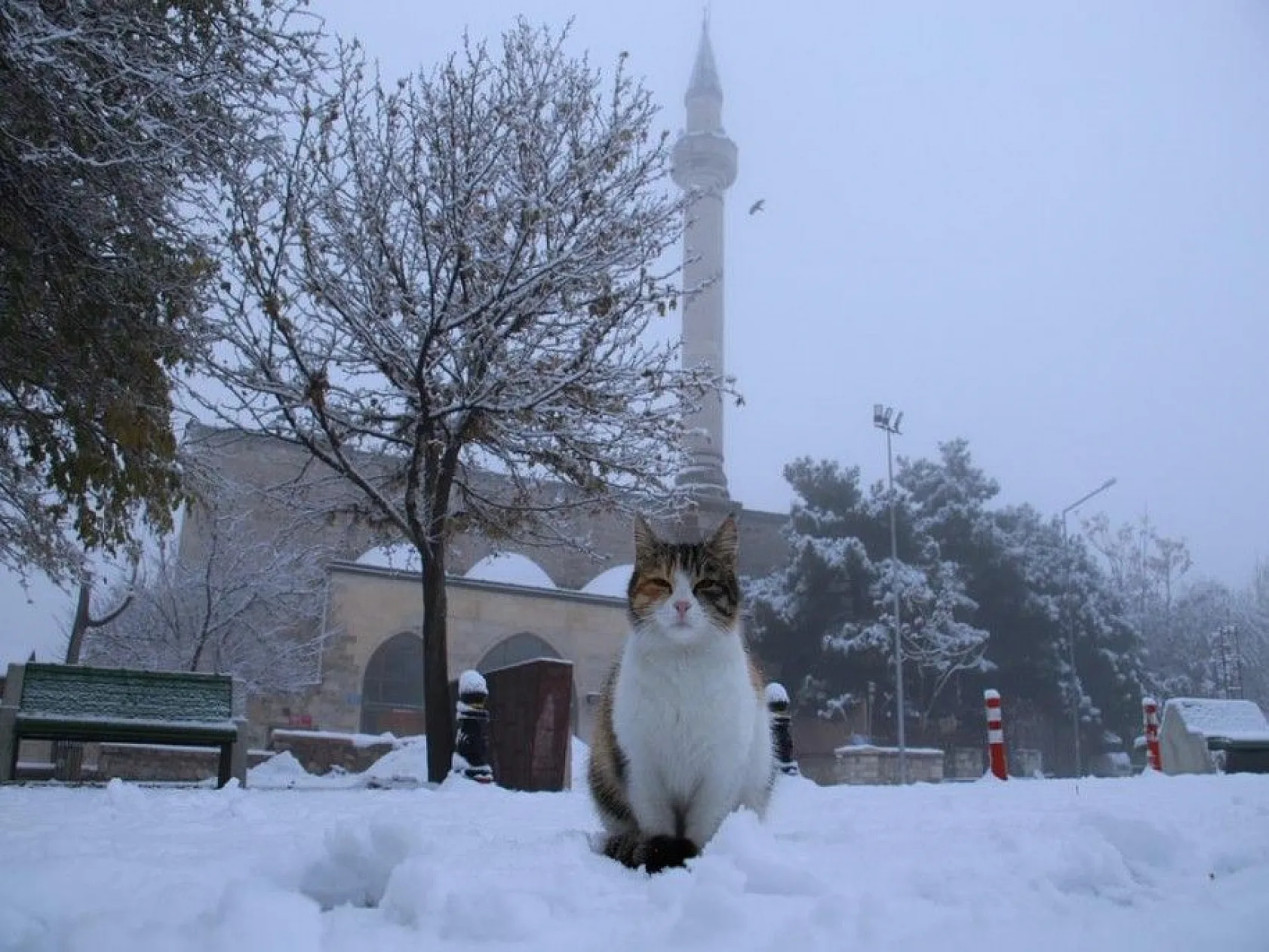 Harput'ta kartpostallık görüntüler
