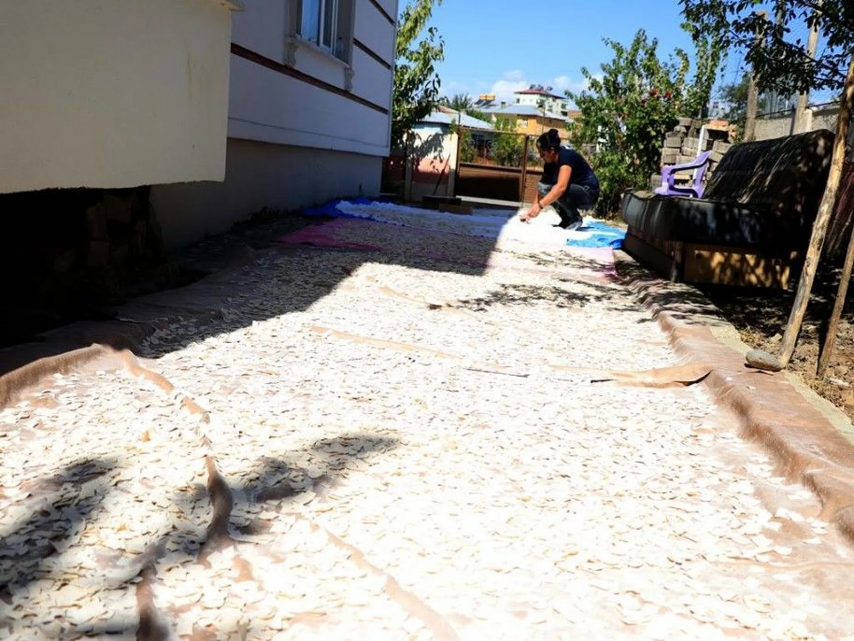 Kış sofralarını süsleyen erişte için komşular imece usulü mesaide