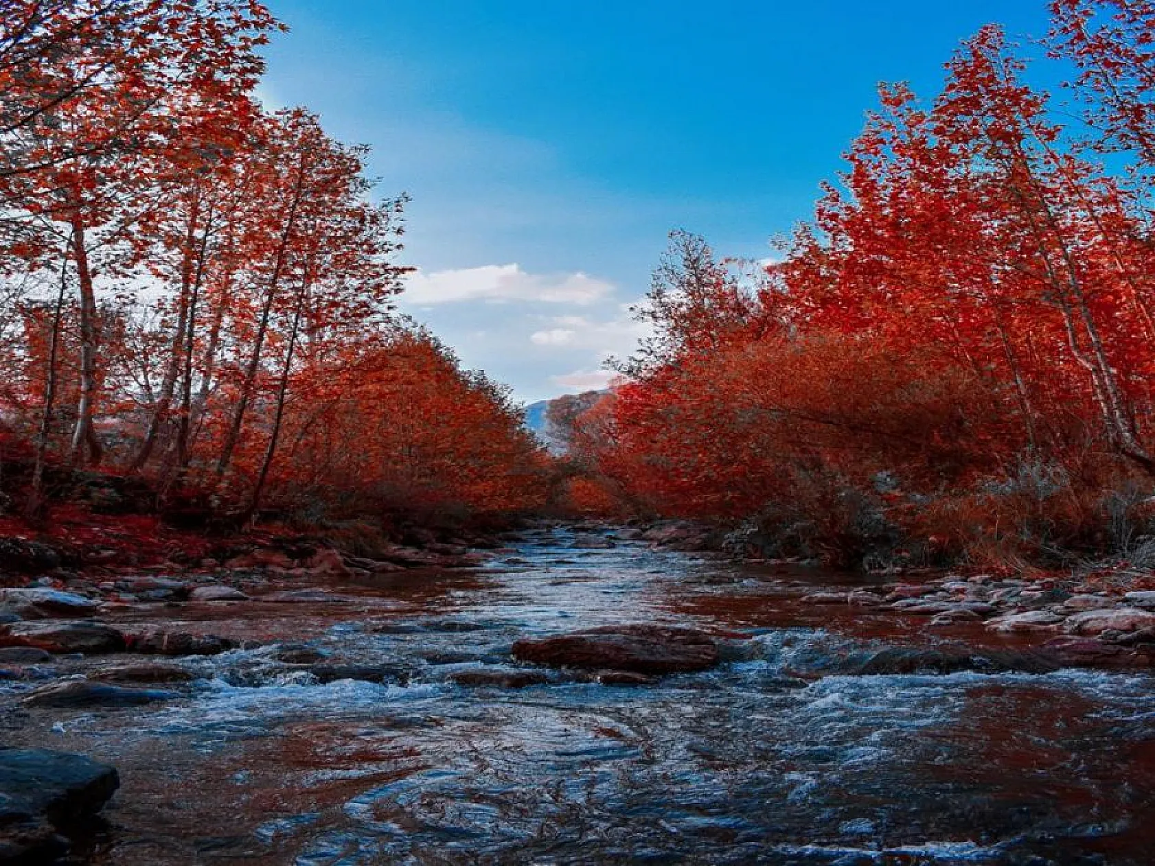 Mirvan Çayı, dört mevsim farklı güzelliğiyle göz kamaştırıyor