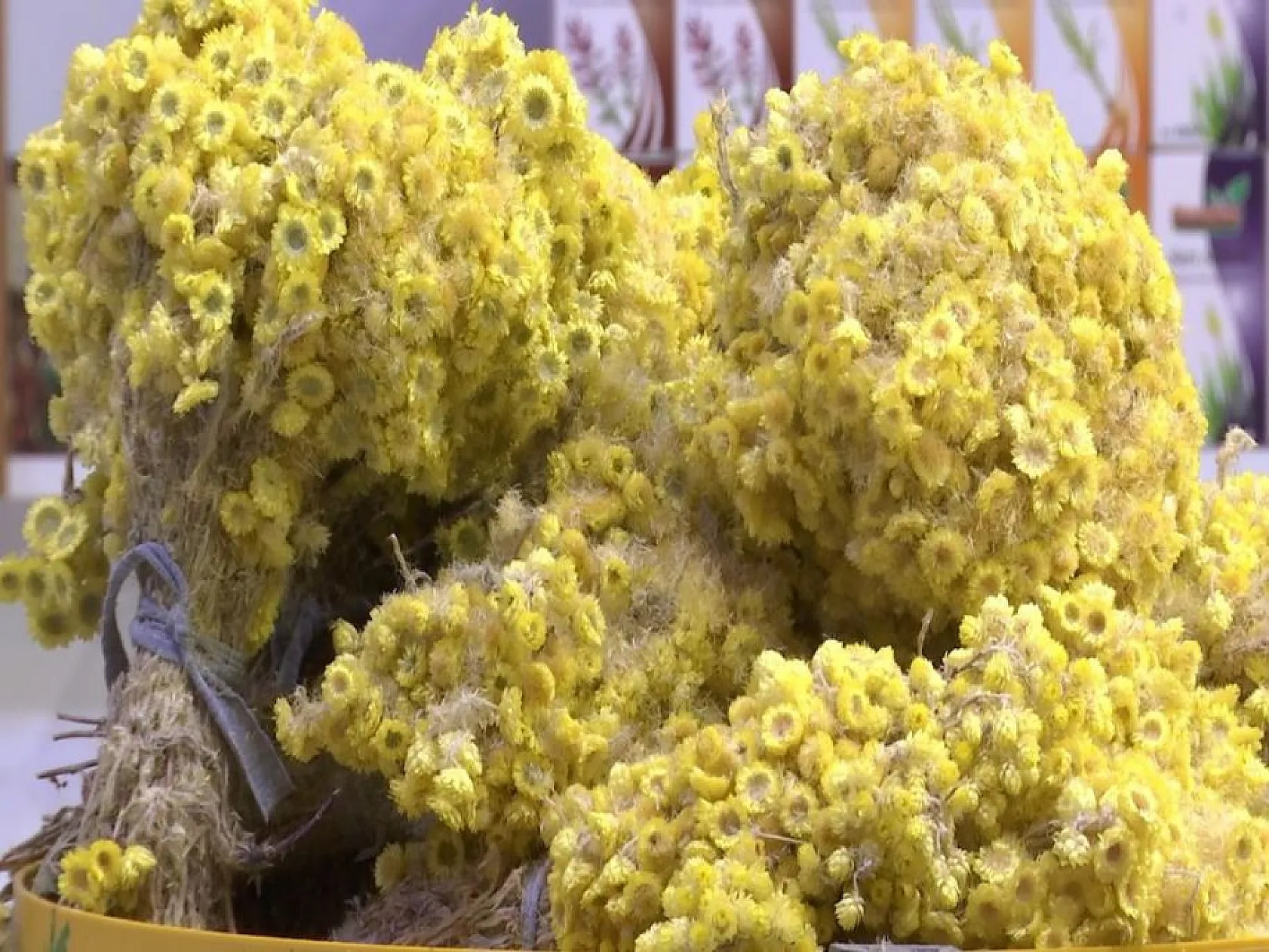 Bitki çayları için ezber bozan açıklama Prof. Dr. İlhan'dan geldi