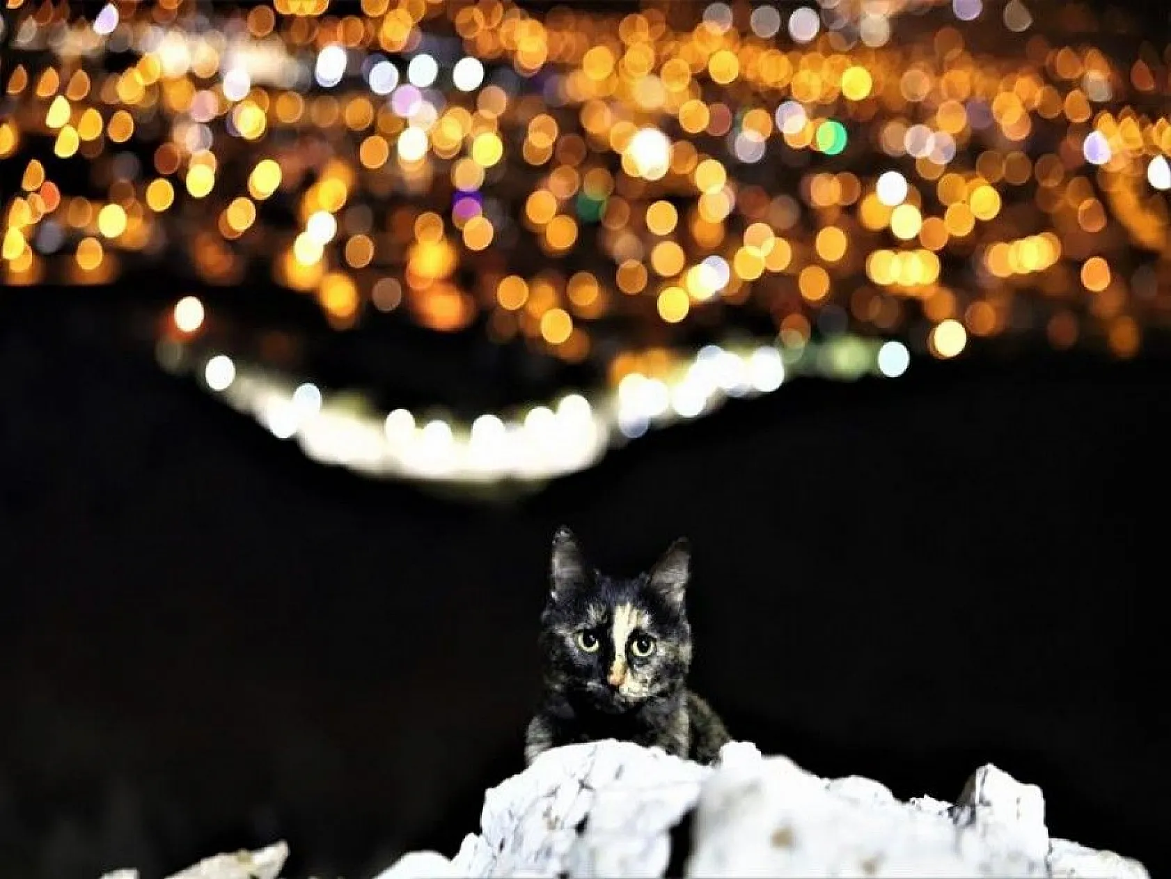 Sokağa çıkma kısıtlaması ile Elazığ sessizliğe büründü