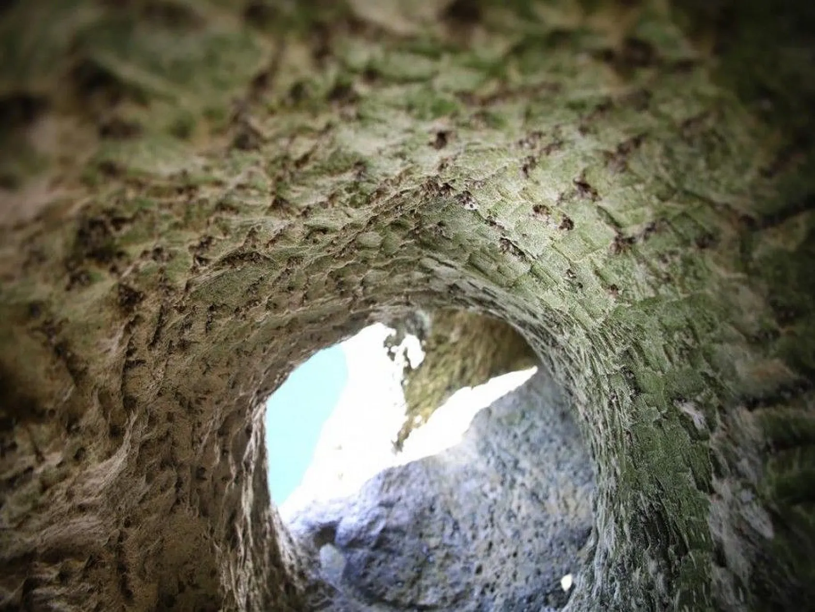 Sular çekilince Hastek Kalesi gün yüzüne çıktı