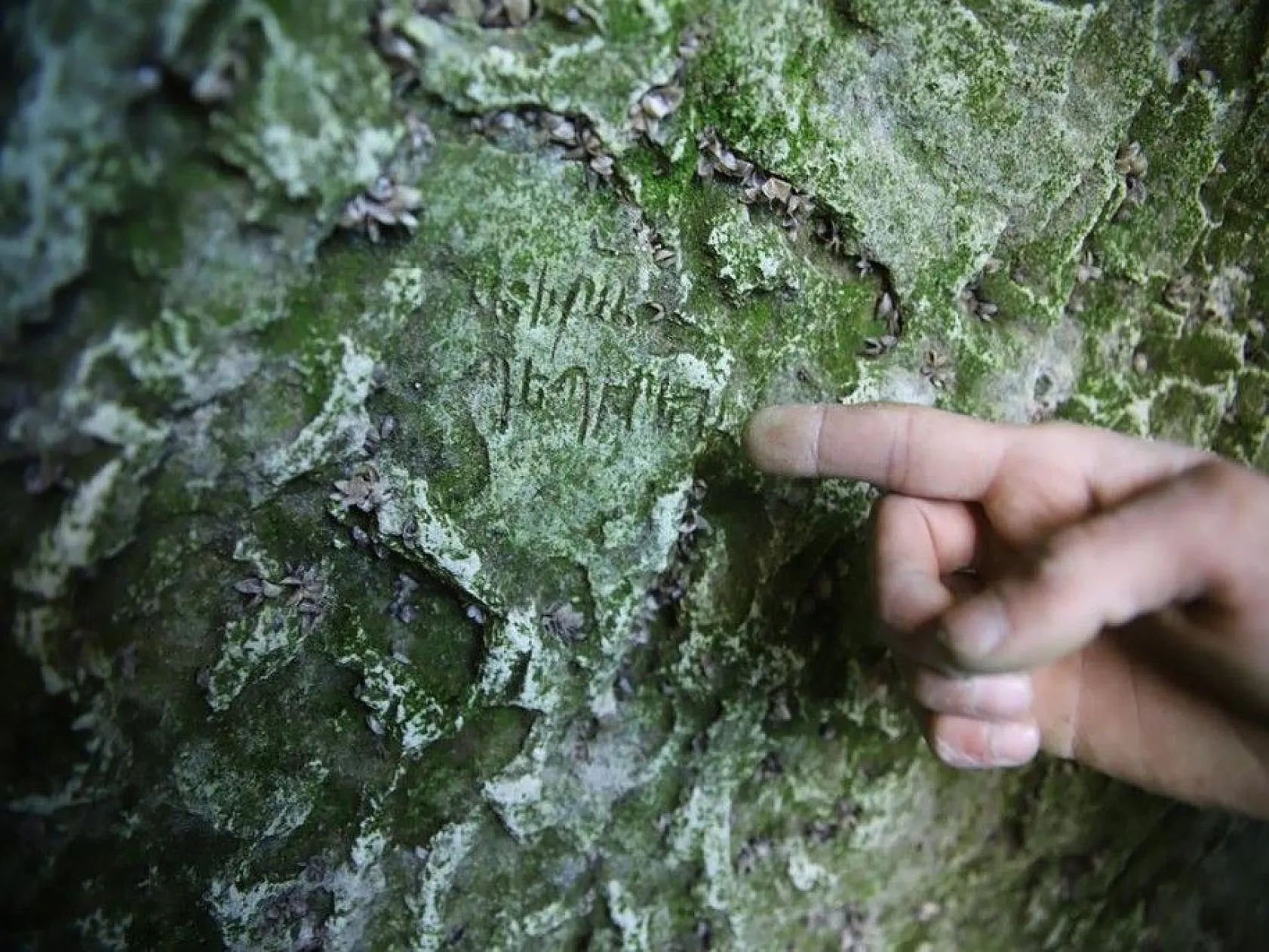 Sular çekilince Hastek Kalesi gün yüzüne çıktı