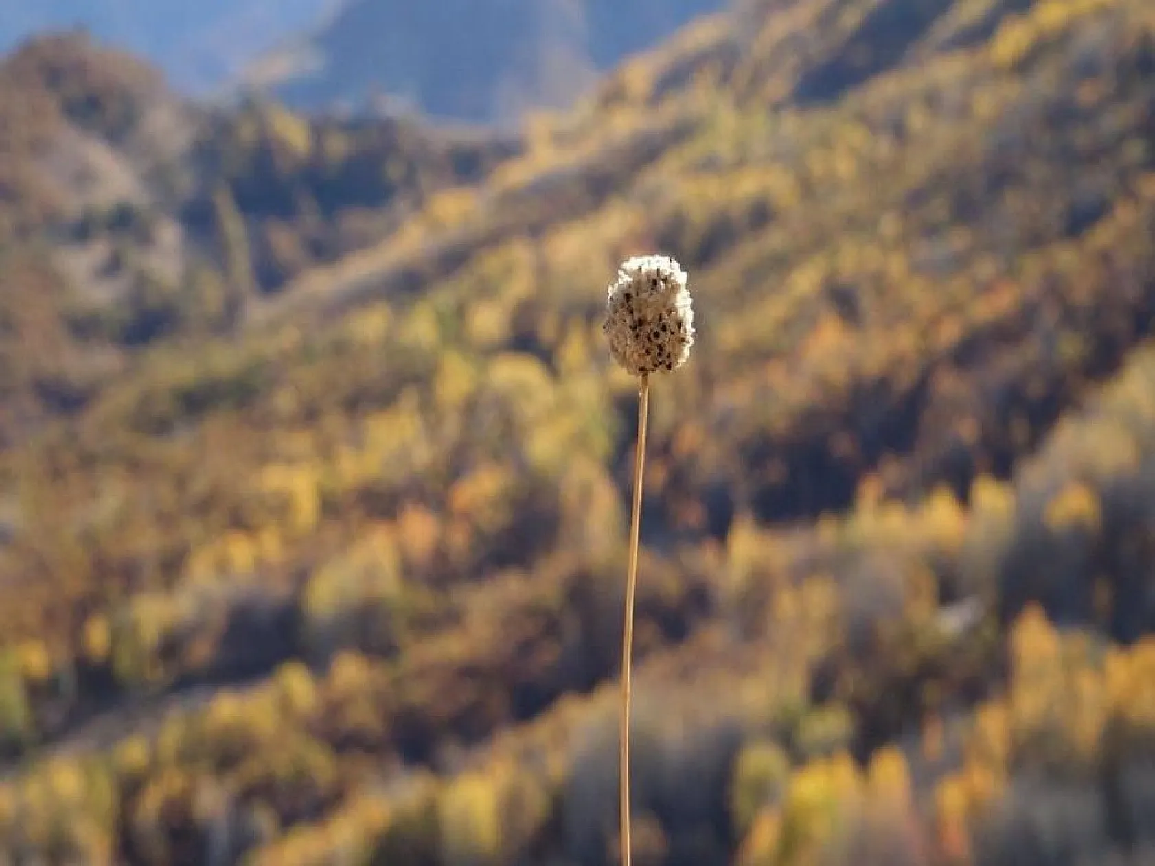 Tunceli'de kar ve sonbaharın görsel şöleni