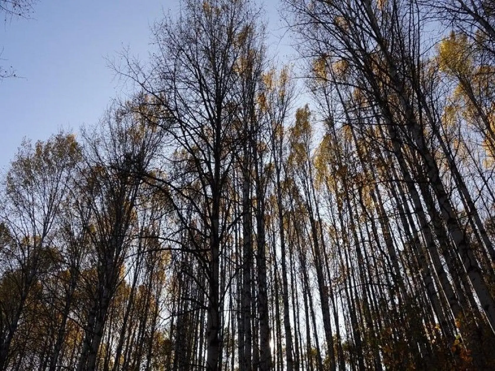 Tunceli'de kar ve sonbaharın görsel şöleni