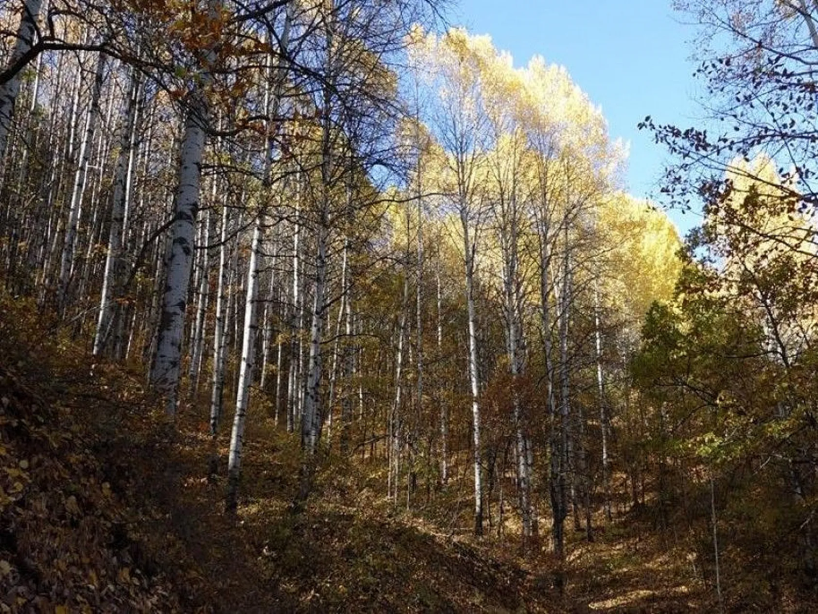 Tunceli'de kar ve sonbaharın görsel şöleni
