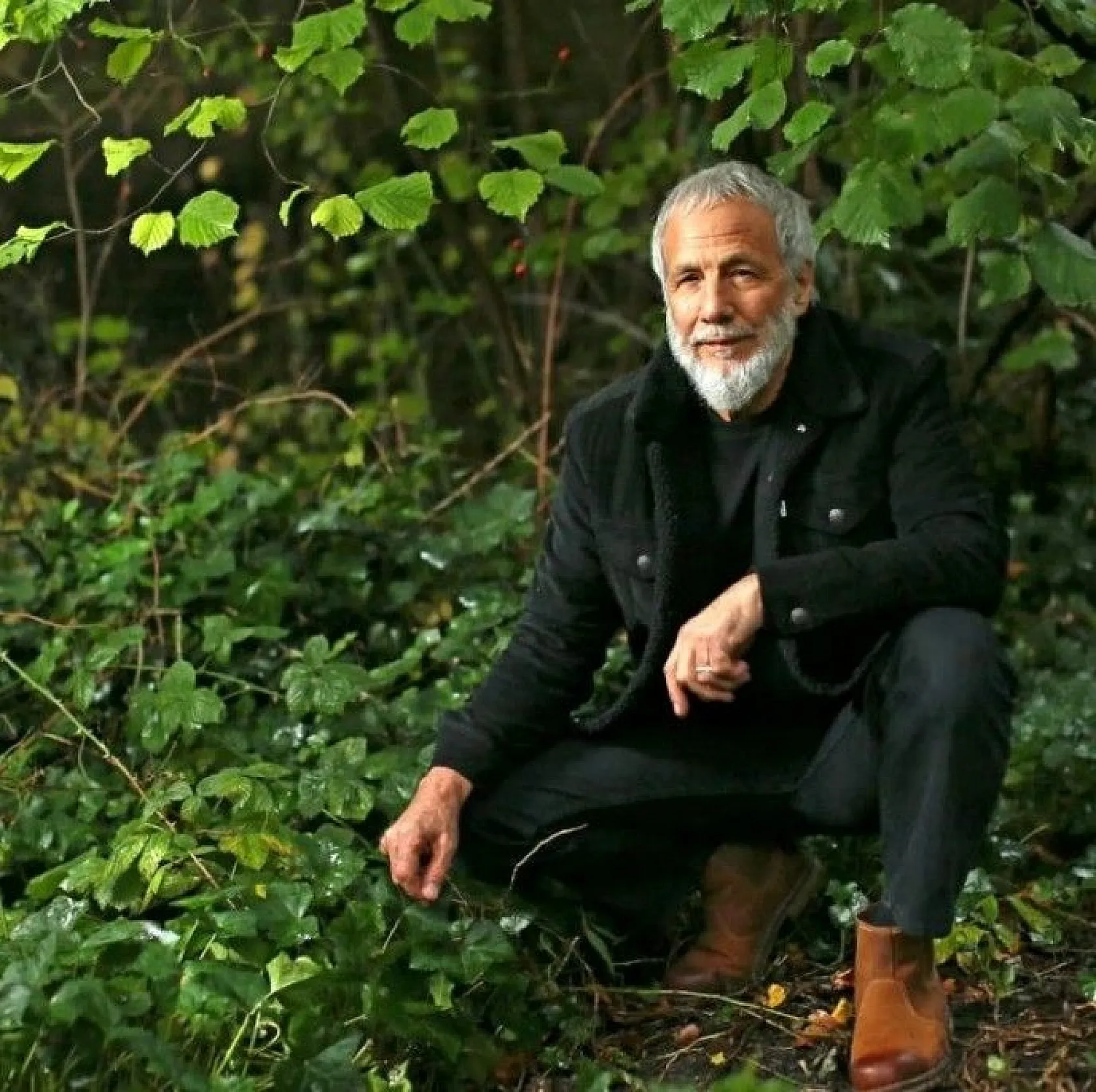 Yusuf İslam'ı Müslümanlığa iten olay tüyleri diken diken ediyor