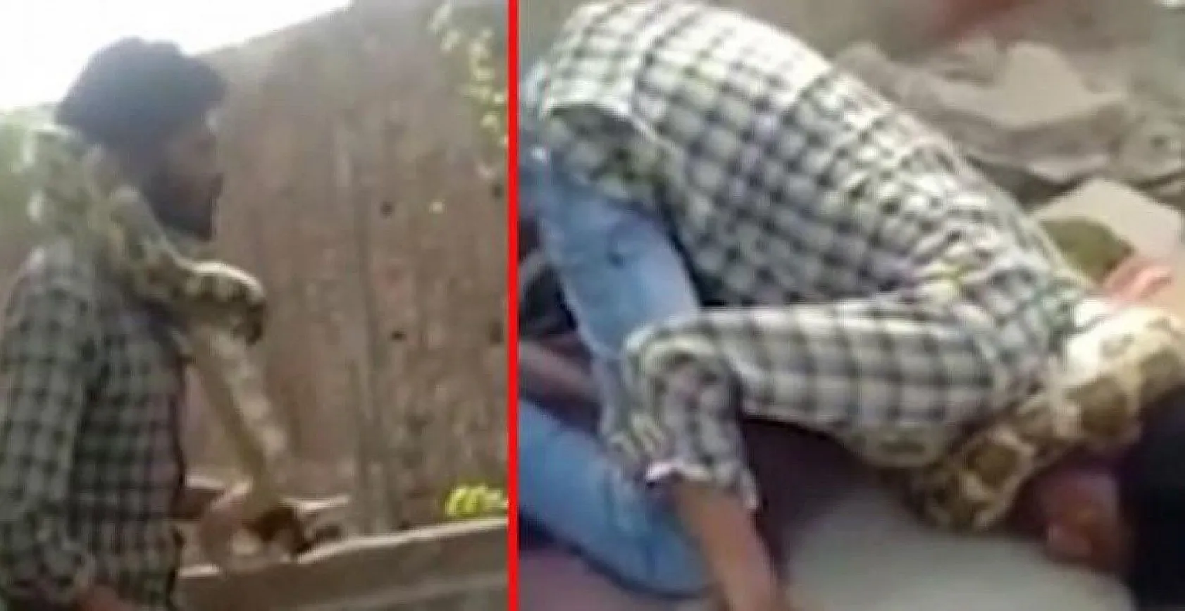 Dev piton sahibini herkesin gözü önünde boğdu!