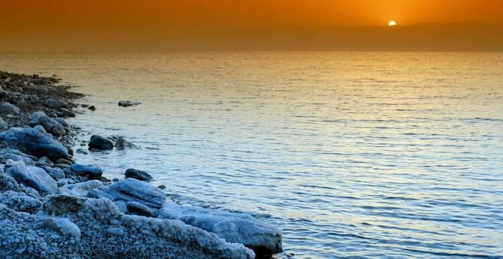 Bilim insanlarından ilginç bilgiler, 1939'da keşfedilmişti, sonunda sırrı çözüldü