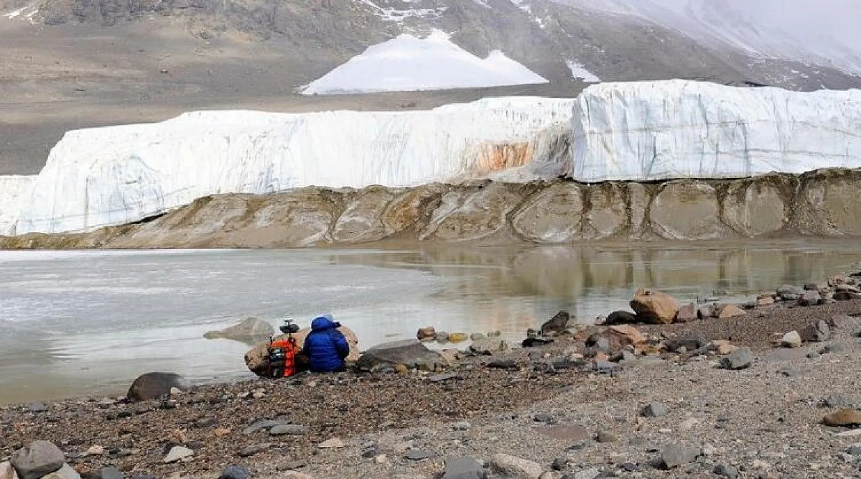 Bilim insanlarından ilginç bilgiler, 1939'da keşfedilmişti, sonunda sırrı çözüldü