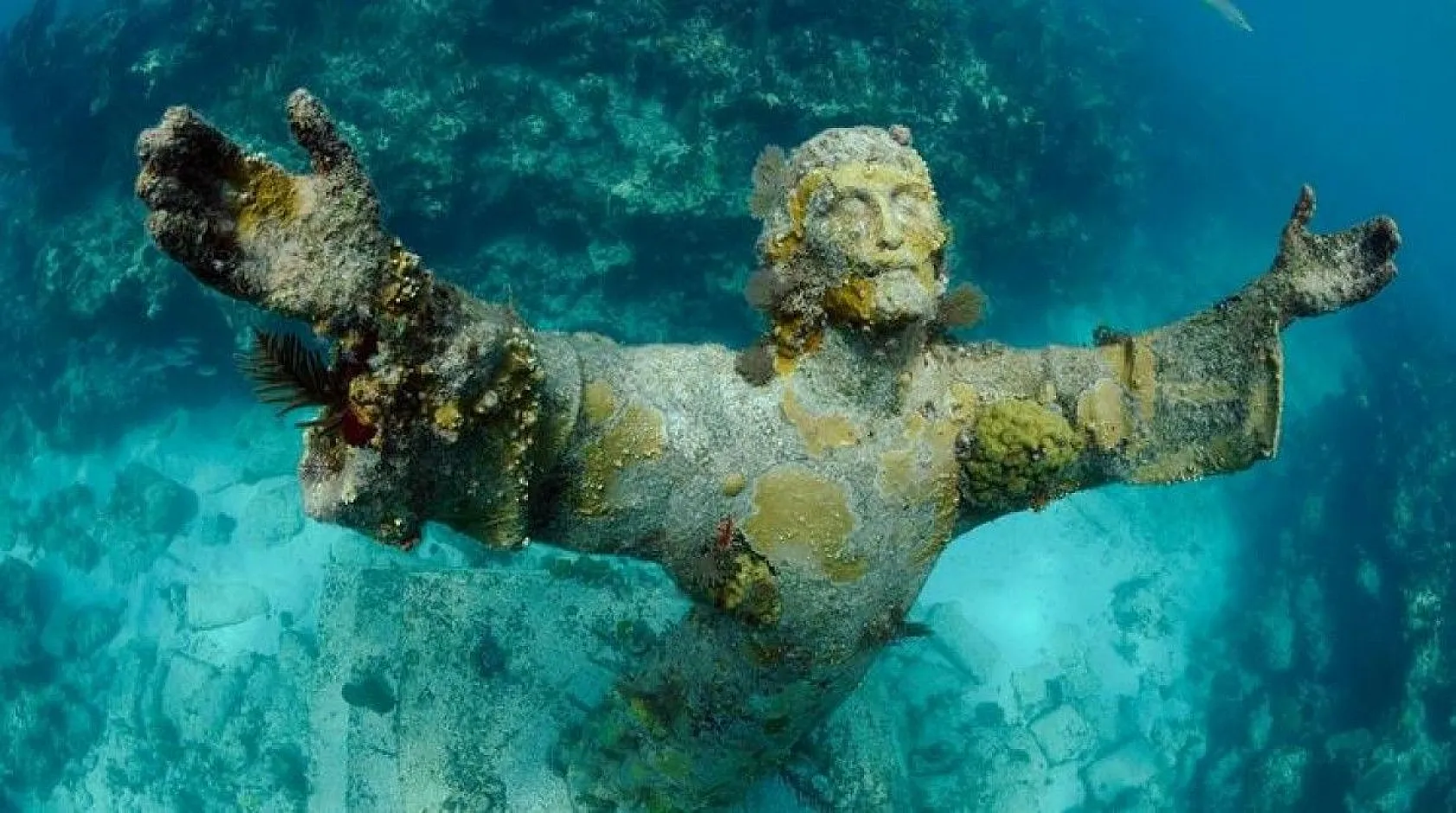 Bilim insanlarından ilginç bilgiler, 1939'da keşfedilmişti, sonunda sırrı çözüldü