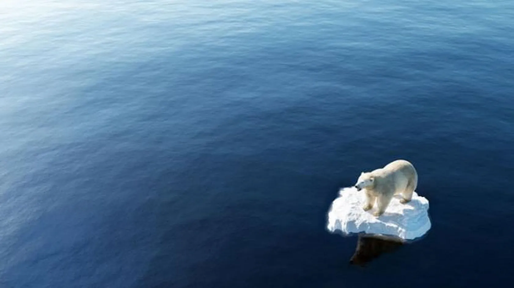 Kör Kahin'in ürküten 2022 tahminleri!