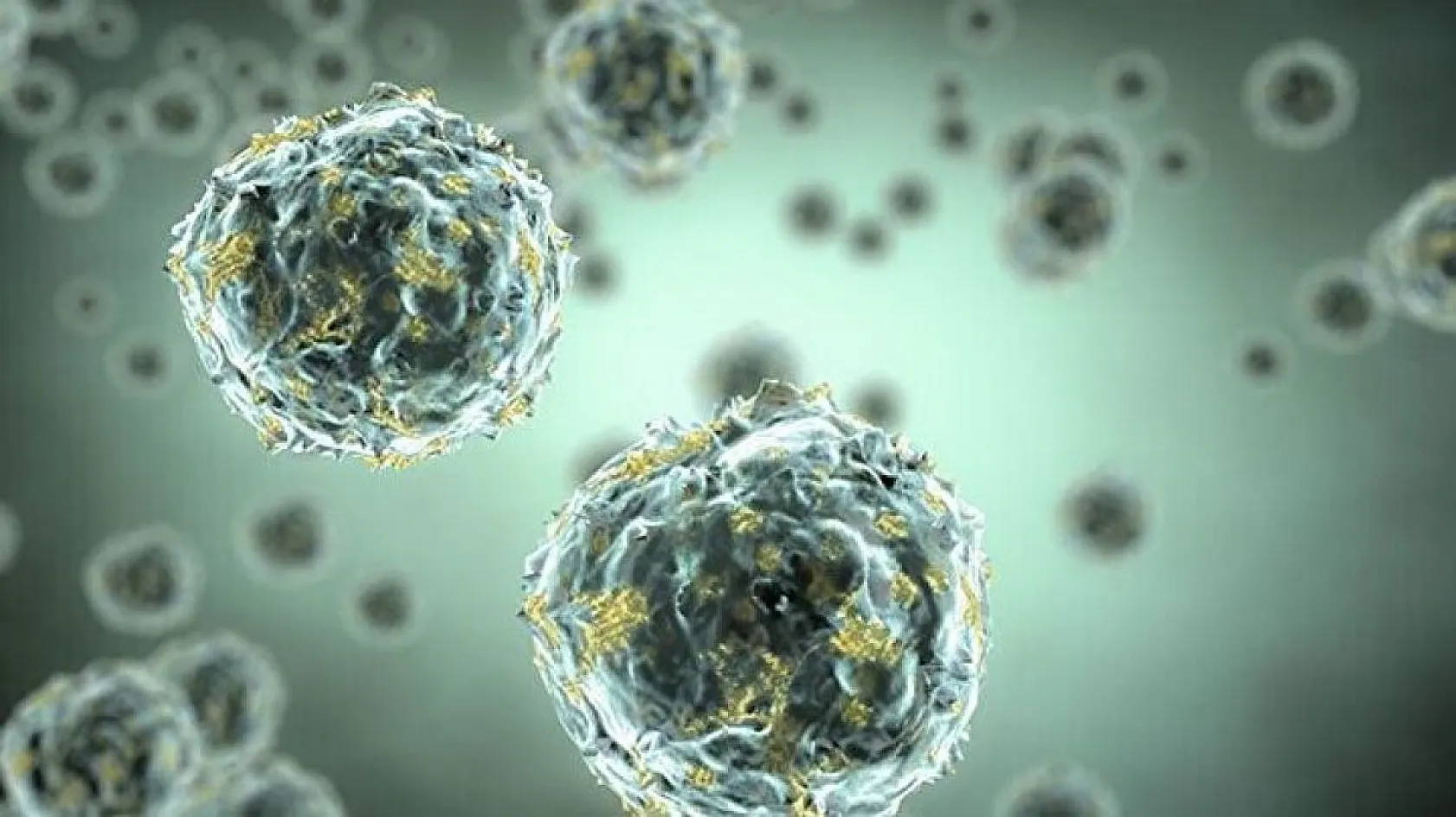 Yeni varyantın ismi açıklandı: Omicron