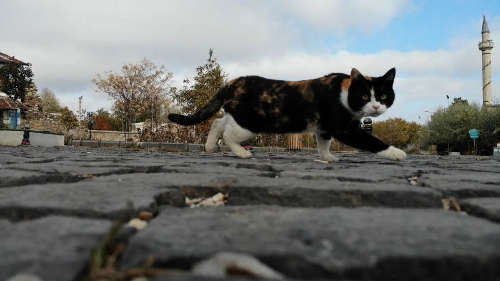 Sessizliğe bürünen Harput'ta sonbahar güzelliği