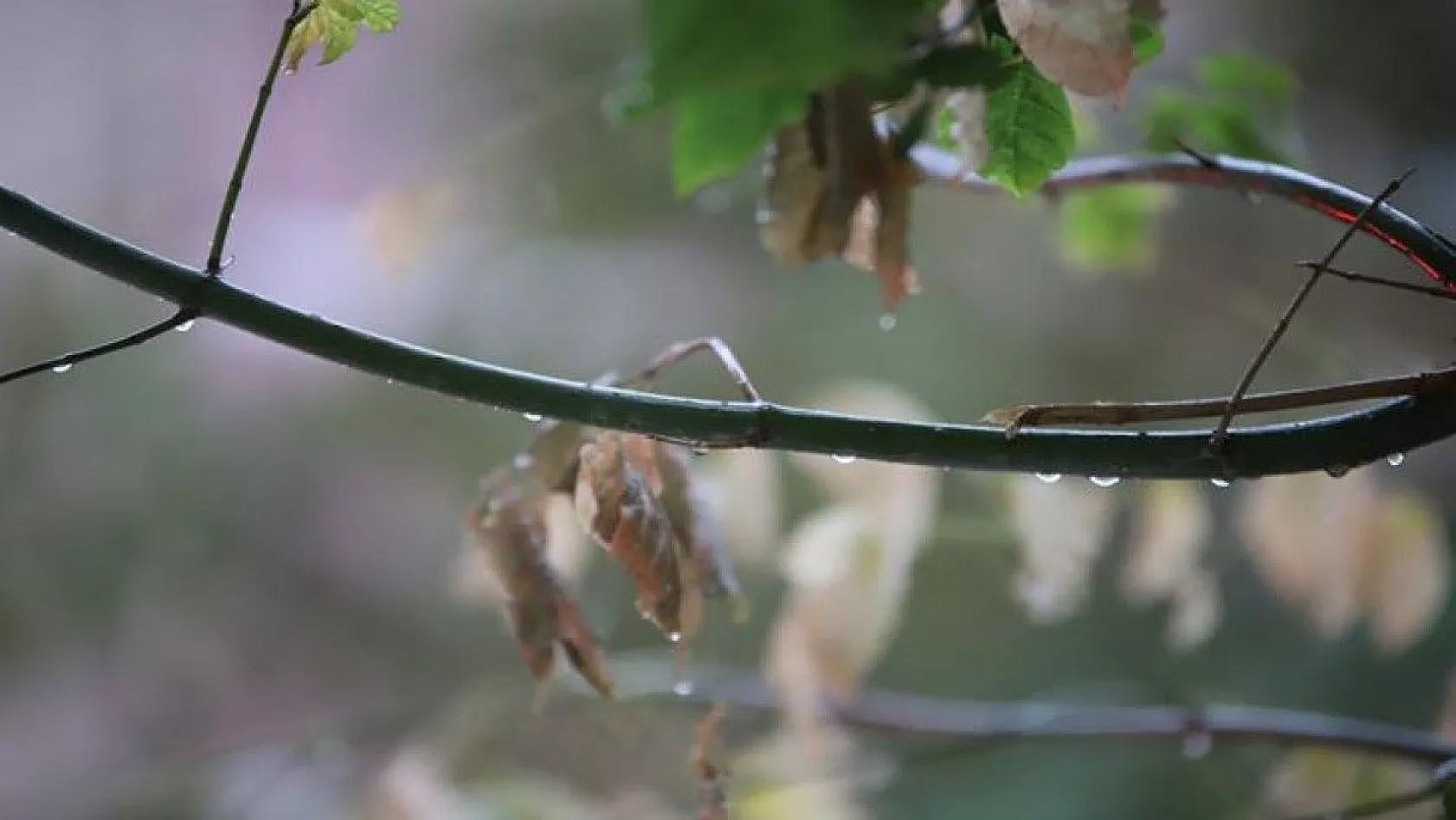 Elazığ'da sağanak yağış etkili oluyor