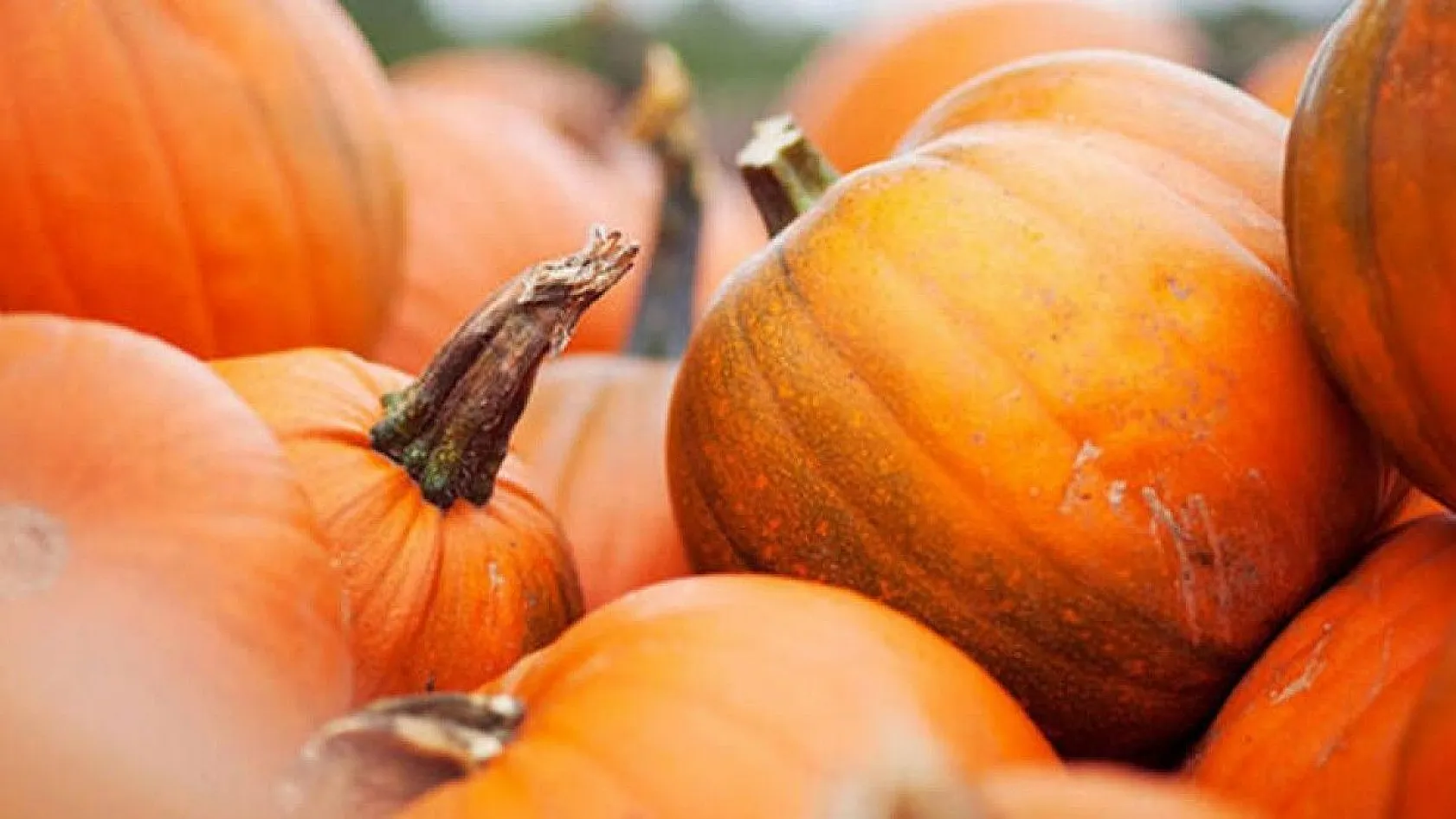 Akciğerin güçlenmesine yardım eden muhteşem besinler