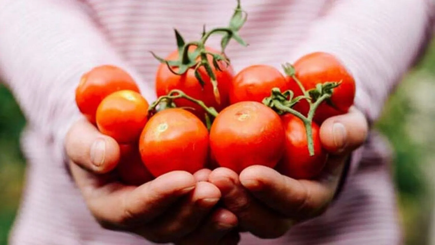 Akciğerin güçlenmesine yardım eden muhteşem besinler