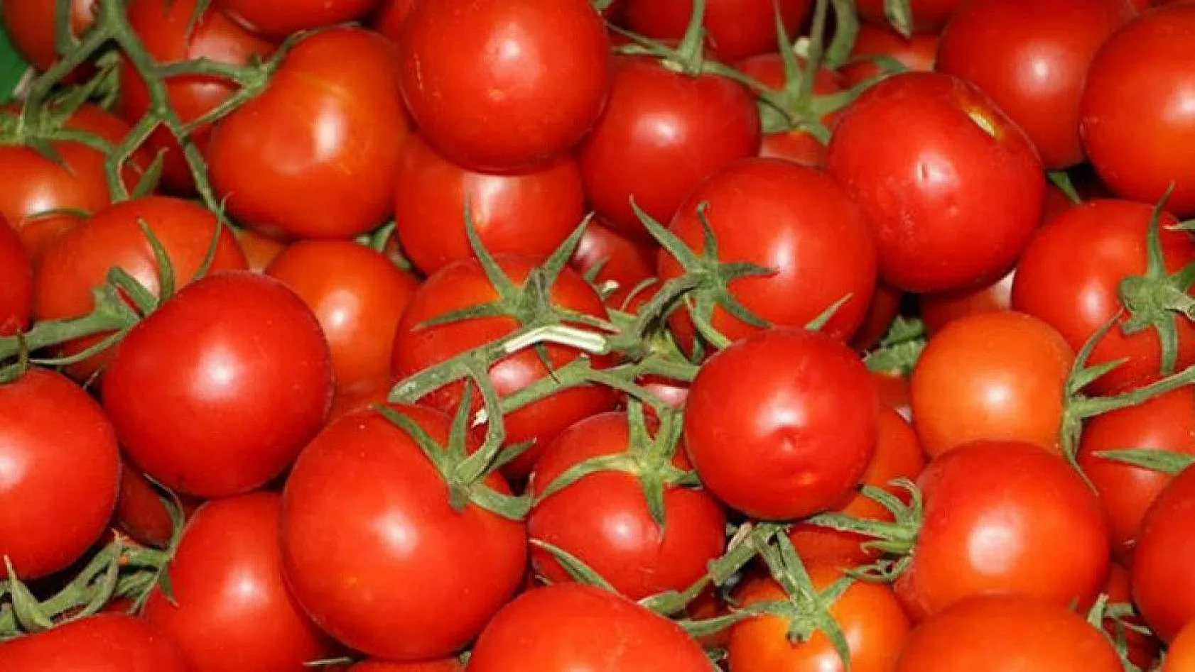 Akciğerin güçlenmesine yardım eden muhteşem besinler