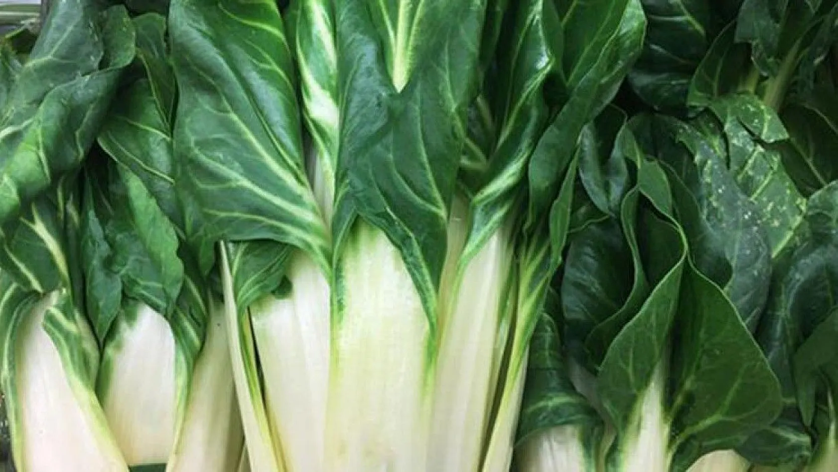 Akciğerin güçlenmesine yardım eden muhteşem besinler