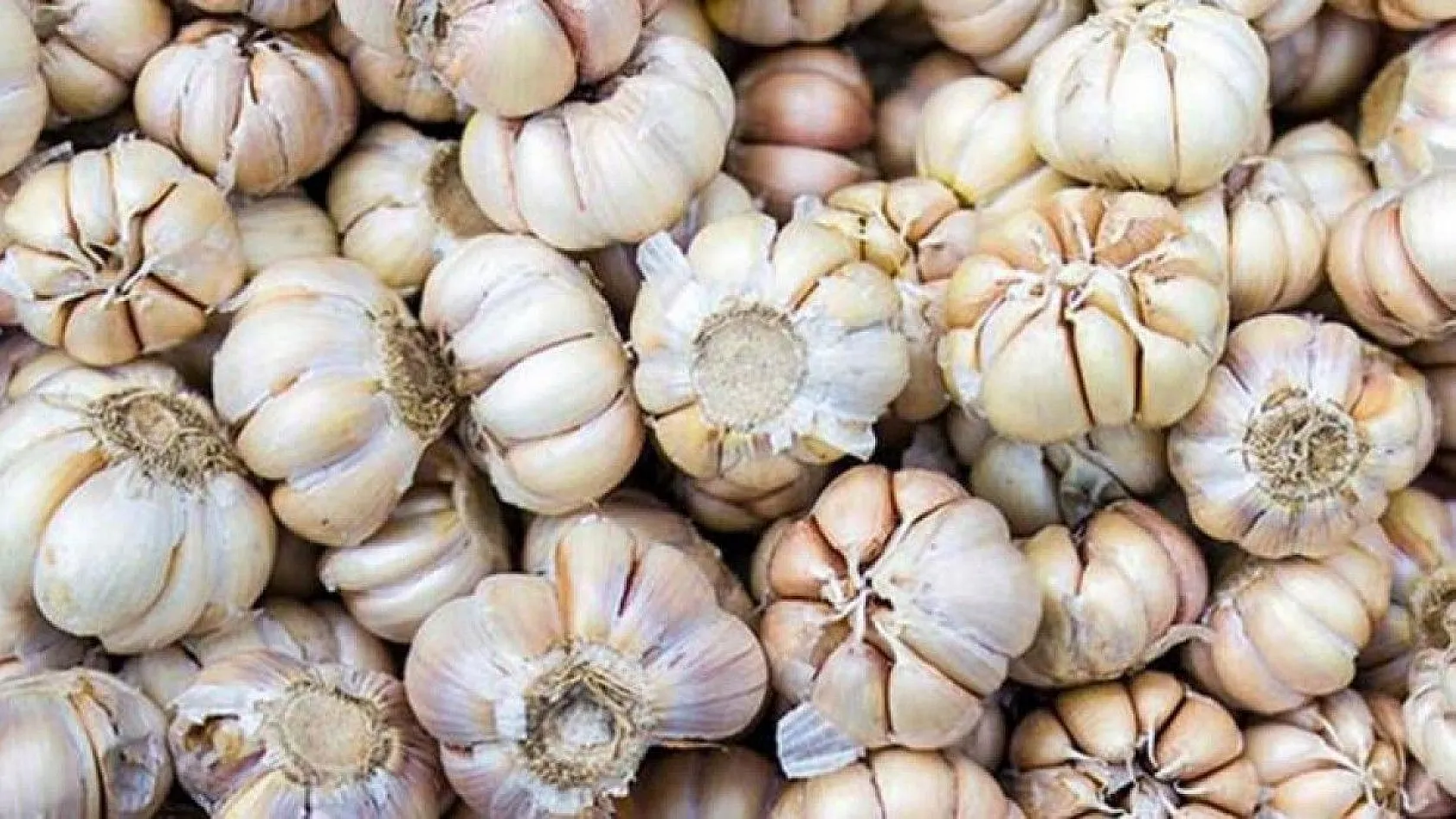 Akciğerin güçlenmesine yardım eden muhteşem besinler