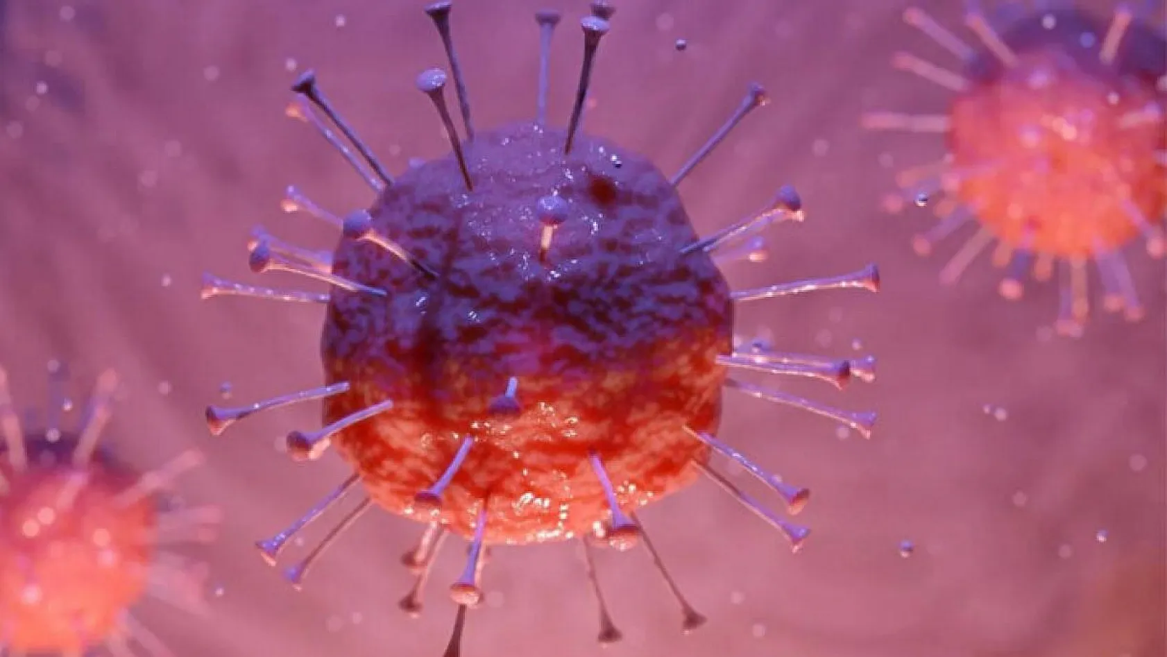 Yeni varyantın ismi açıklandı: Omicron