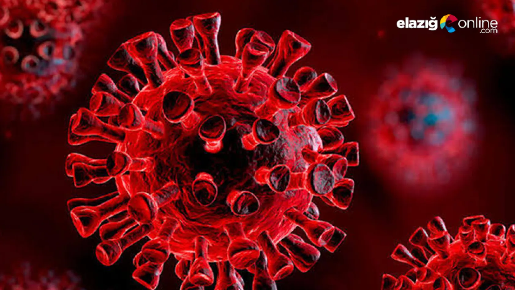 Bilim insanları açıkladı! Koronavirüs neden bu kadar ölümcül?