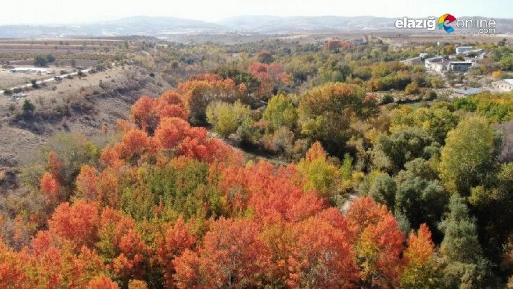 Elazığ'da sonbaharda rengarenk olan ağaçlar havadan görüntülendi