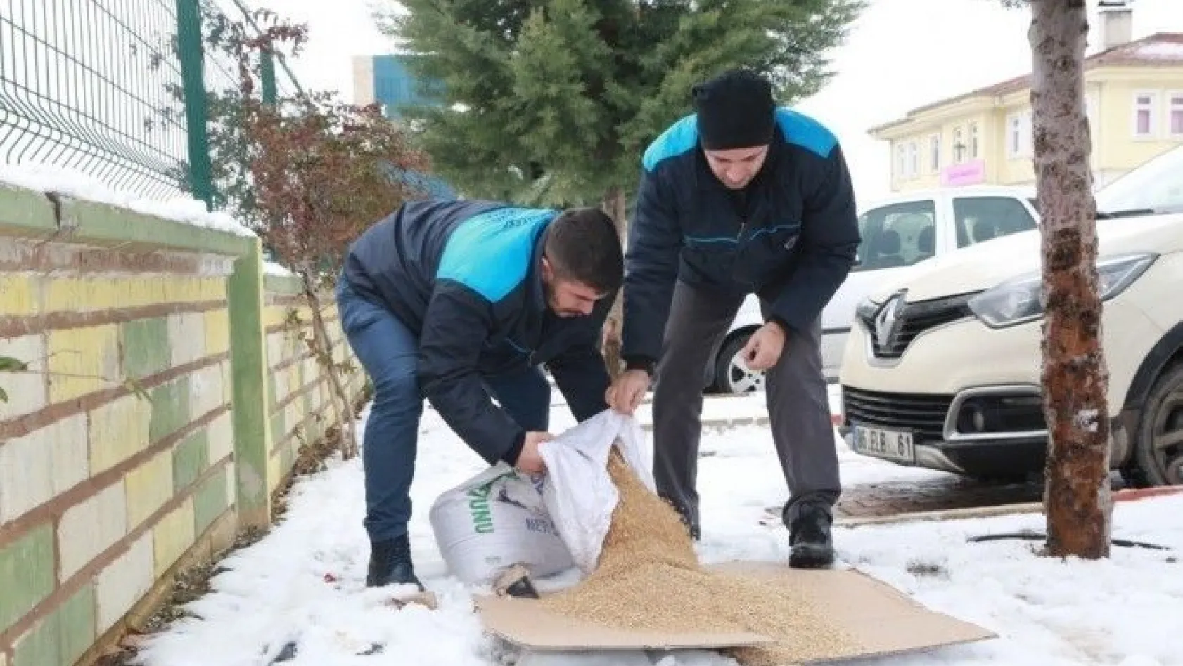 Elazığ'da sokak hayvanları için yem bırakıldı