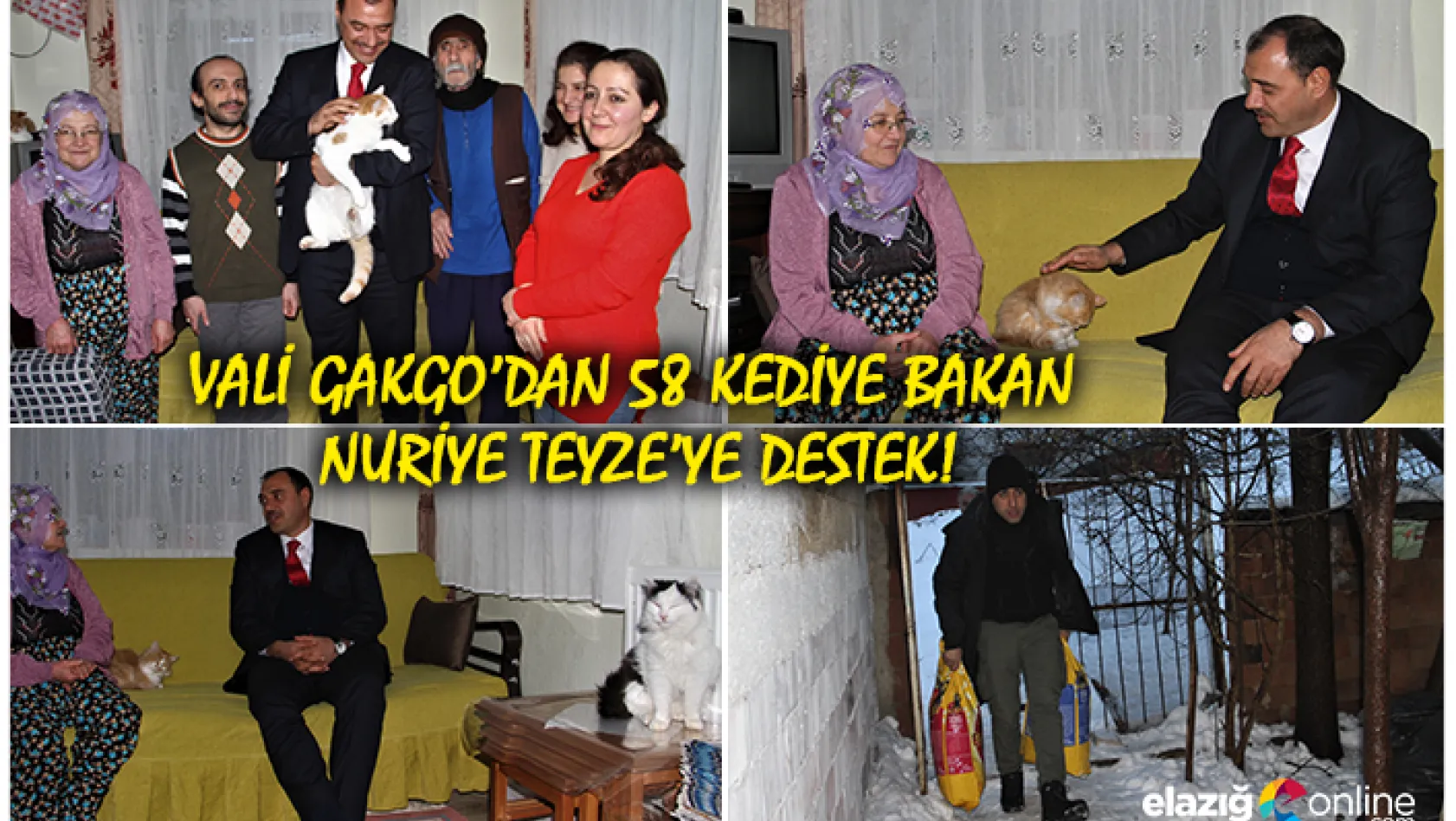 Evinde 58 kediye bakan Nuriye teyzeye, Vali Kaldırım'dan destek